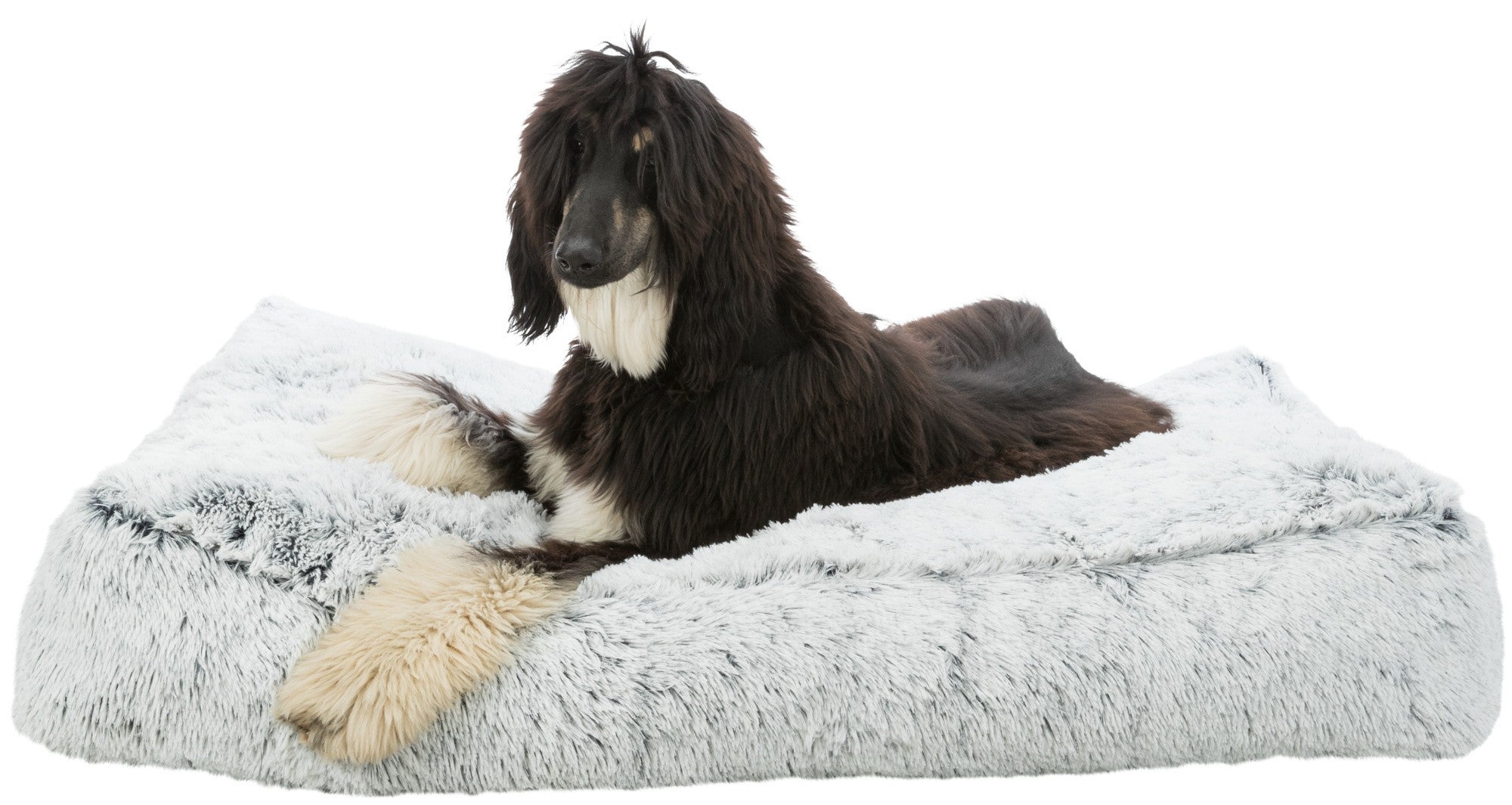 Coussin peluche Harvey