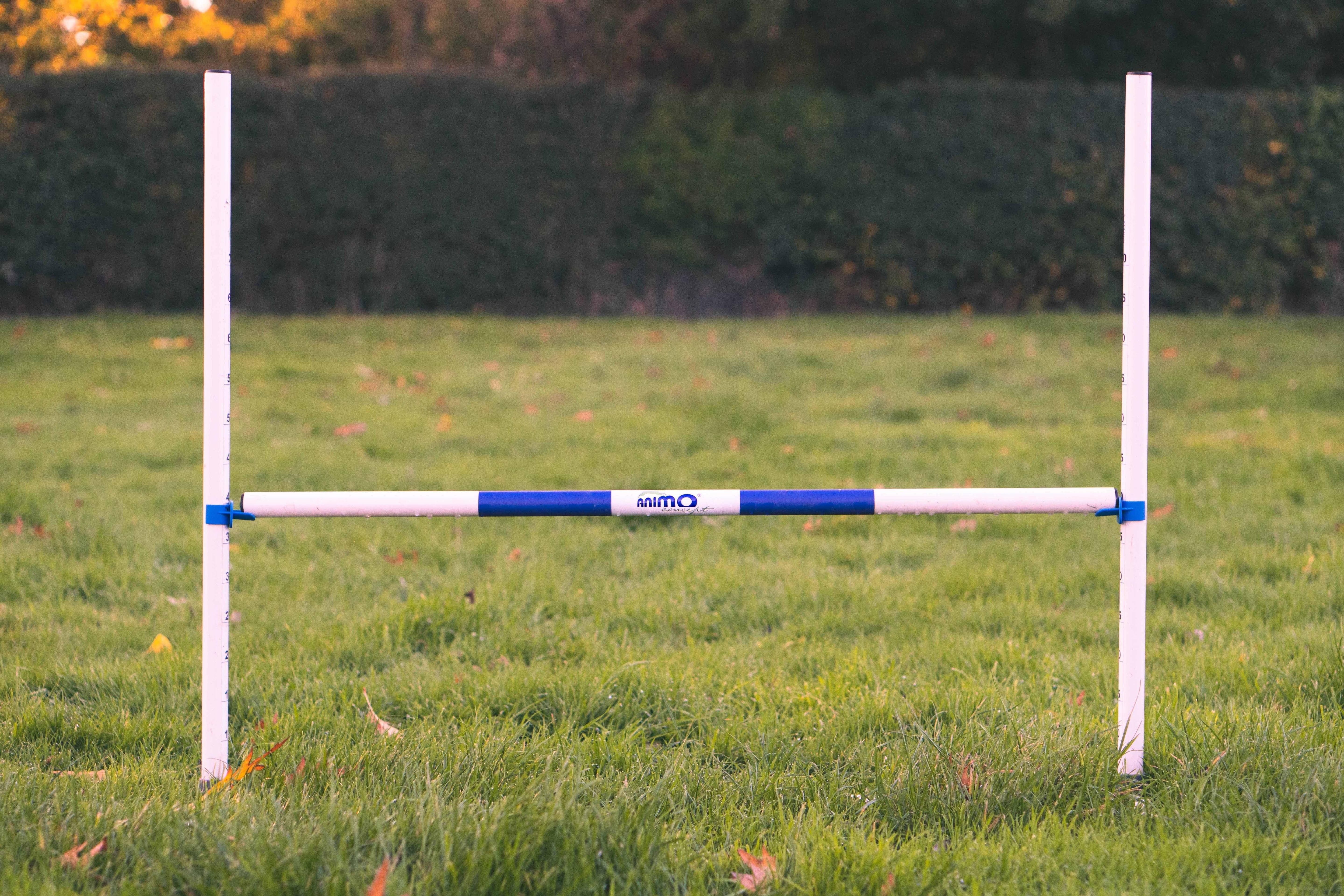 Agility Run Haie d'entrainement en PVC