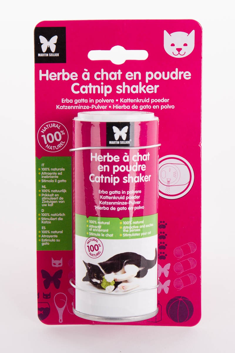 Herbe a chat