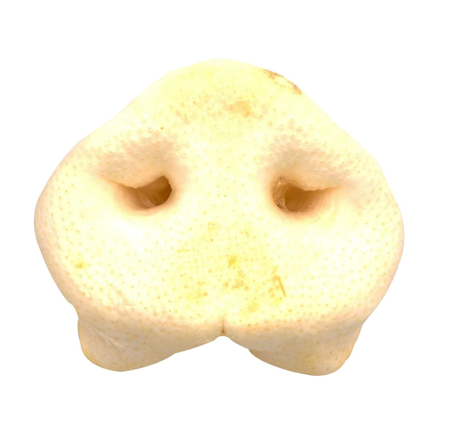 Nez de porc