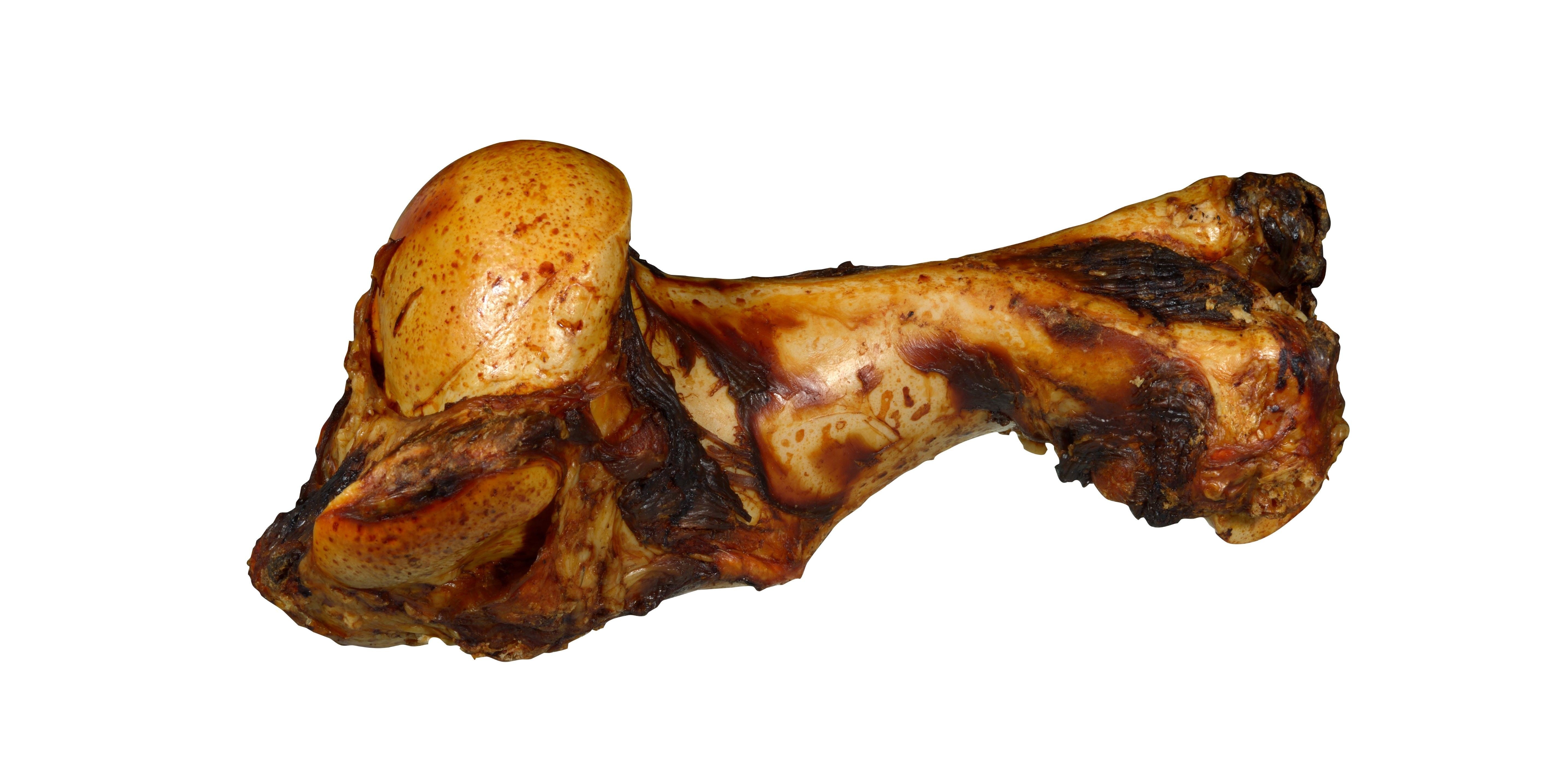Os de mammouth 1,1kg