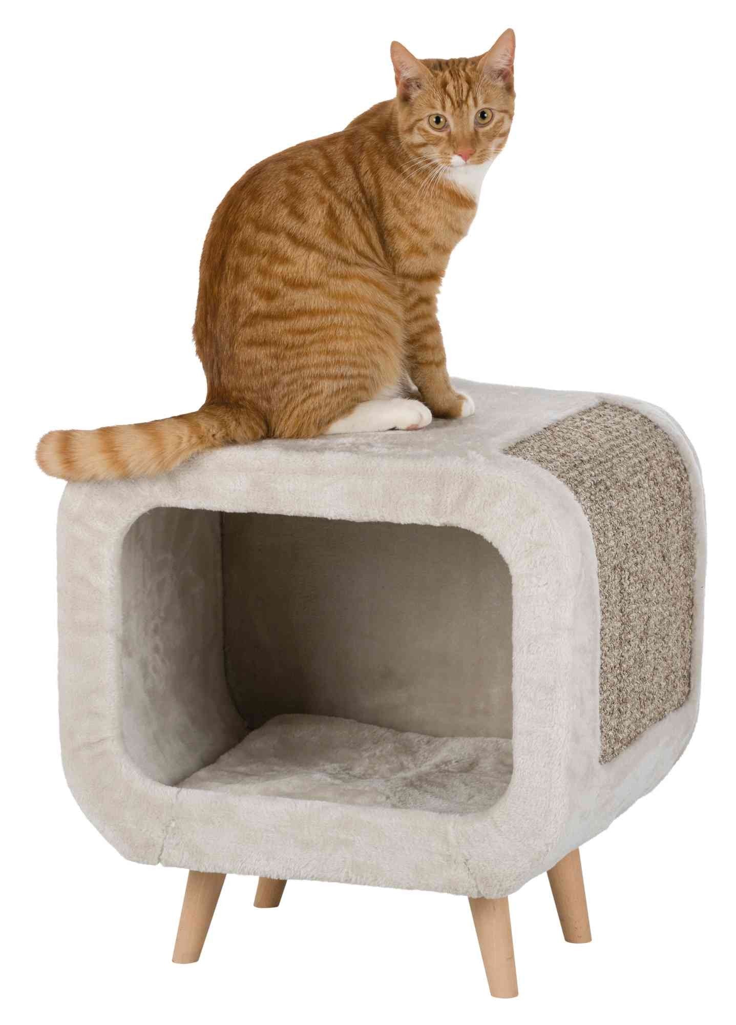 Abri douillet pour chat avec pieds en bois et griffoir