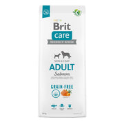 BRIT CARE Small & Medium Adult Skin & Coat Grain Free au saumon - Croquettes pour chien