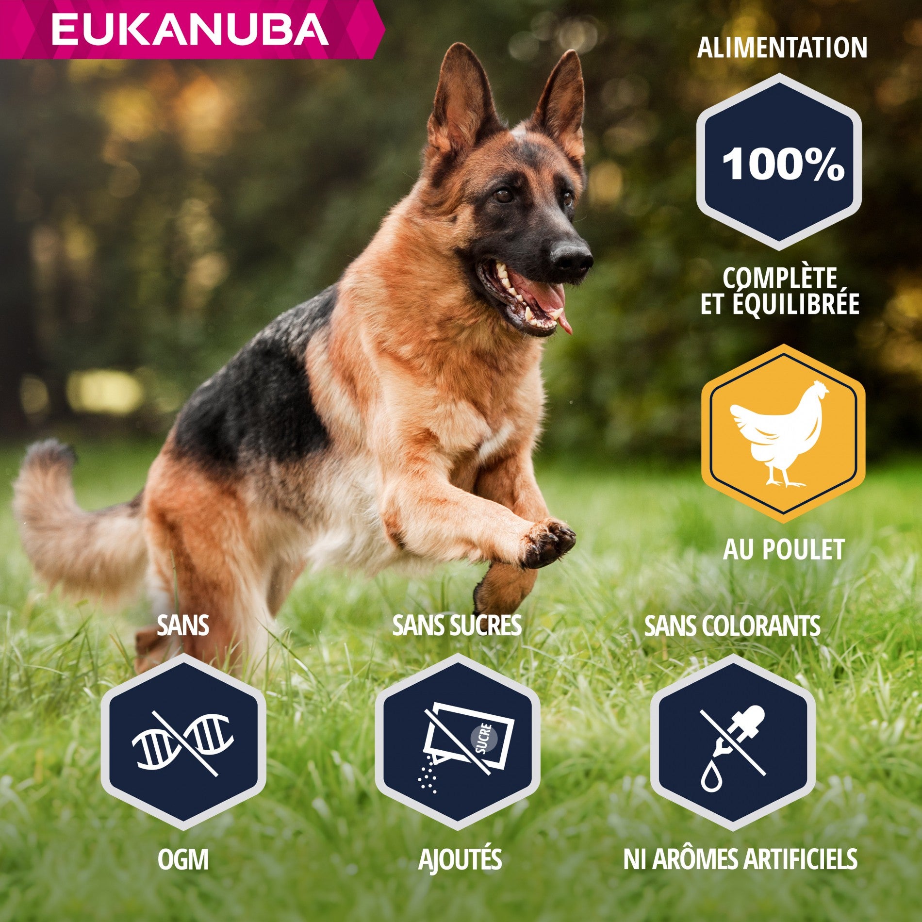 Eukanuba Breed Specific Berger Allemand