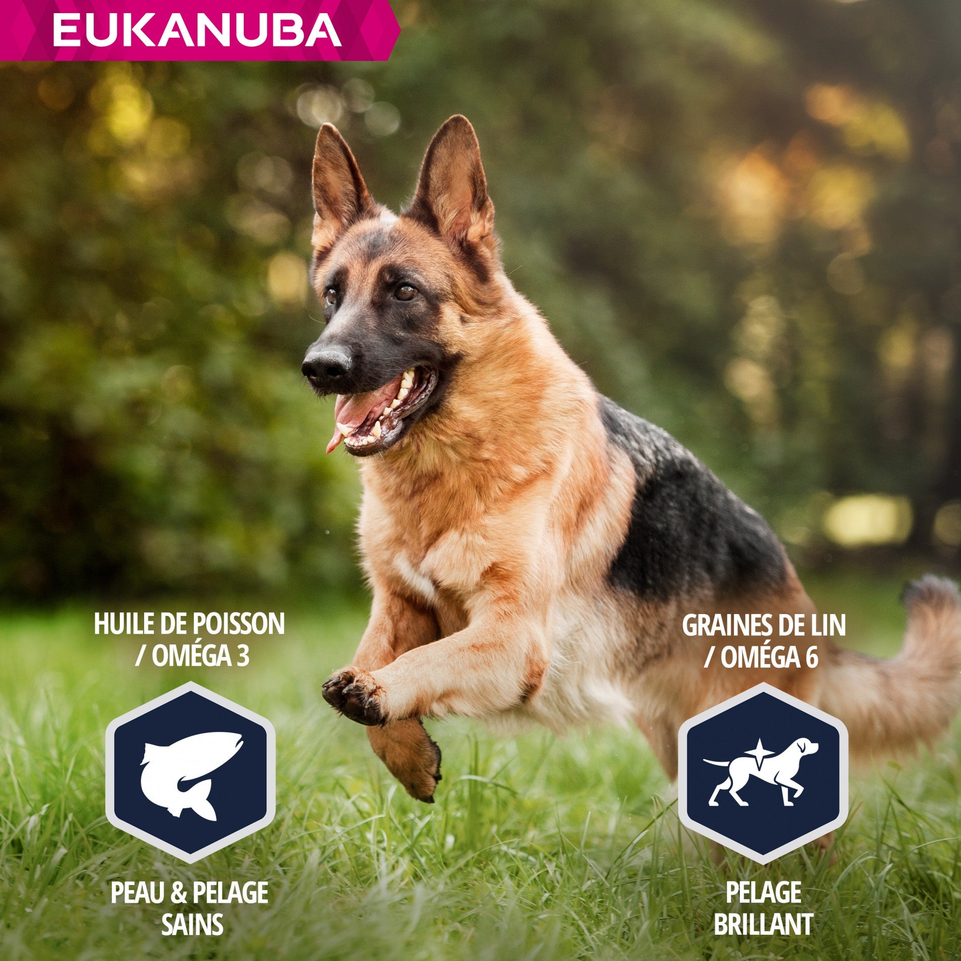 Eukanuba Breed Specific Berger Allemand