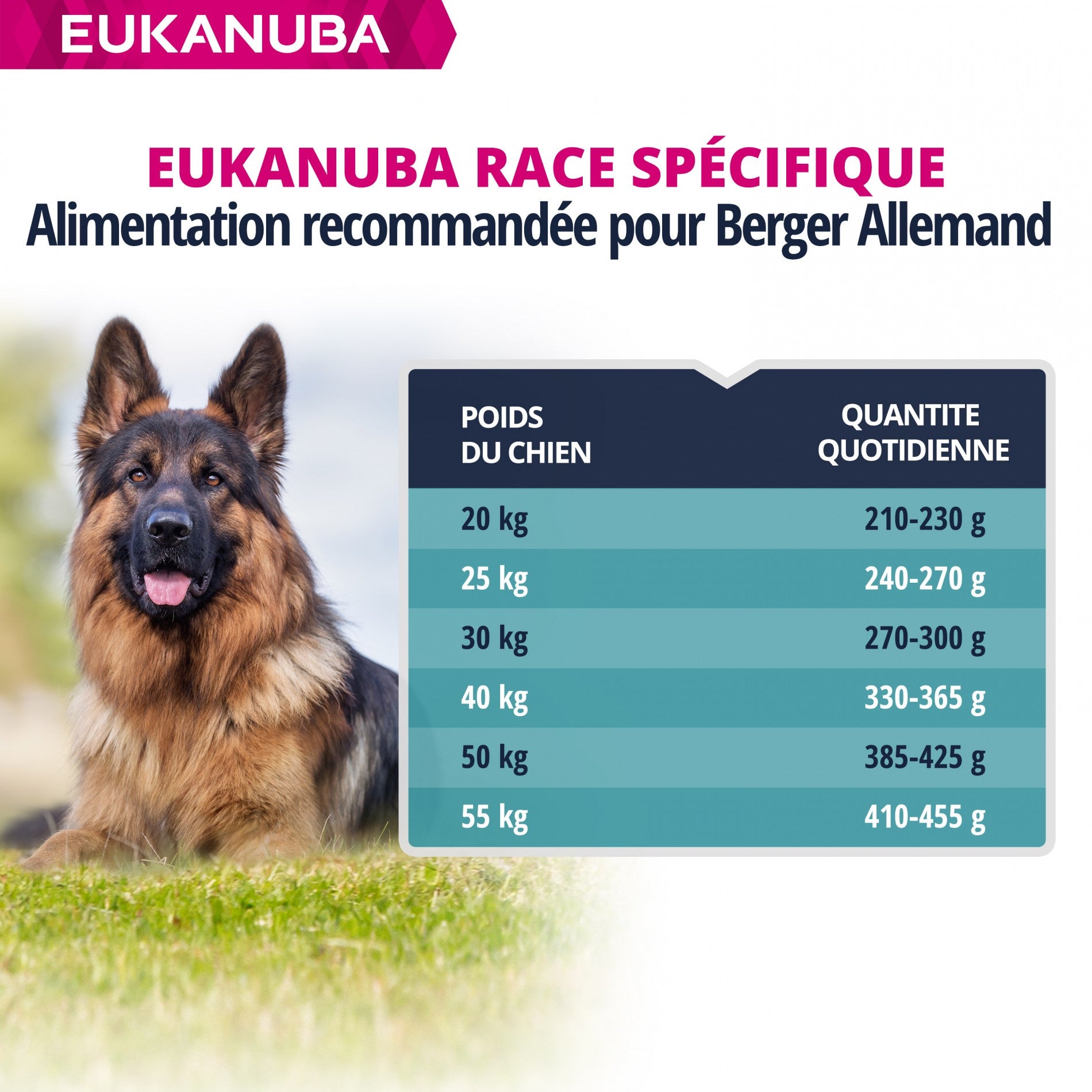 Eukanuba Breed Specific Berger Allemand