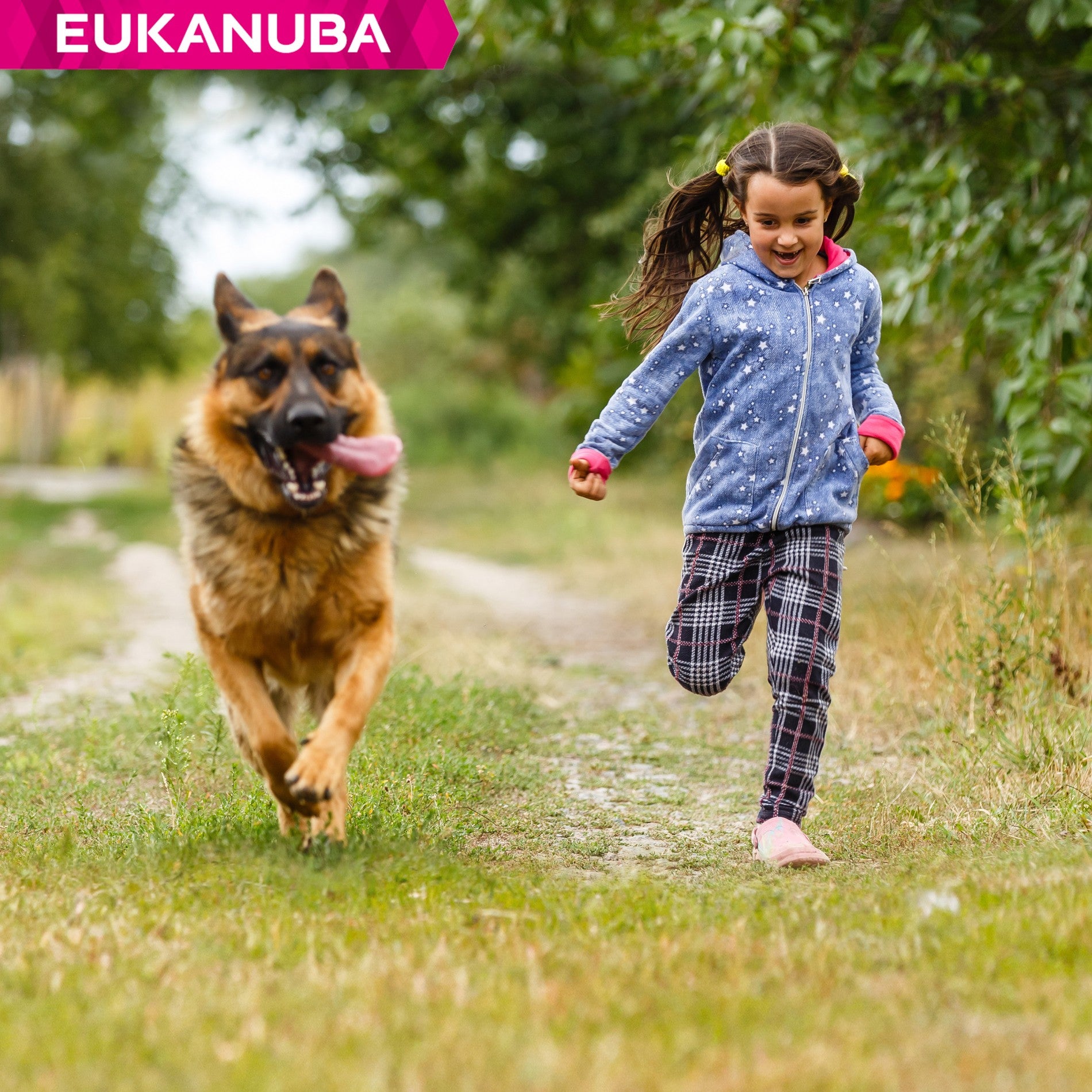 Eukanuba Breed Specific Berger Allemand