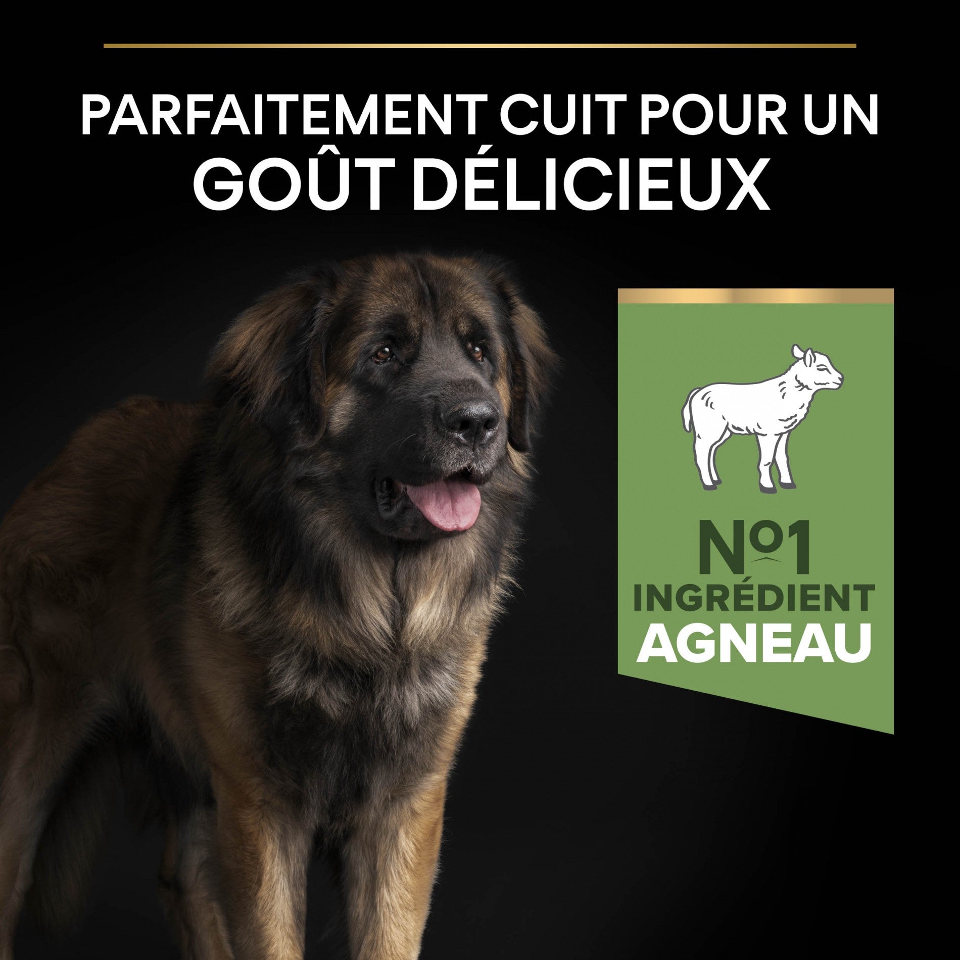 PRO PLAN Sensitive Digestion Large Robust Adult à la Agneau - Croquettes pour chien