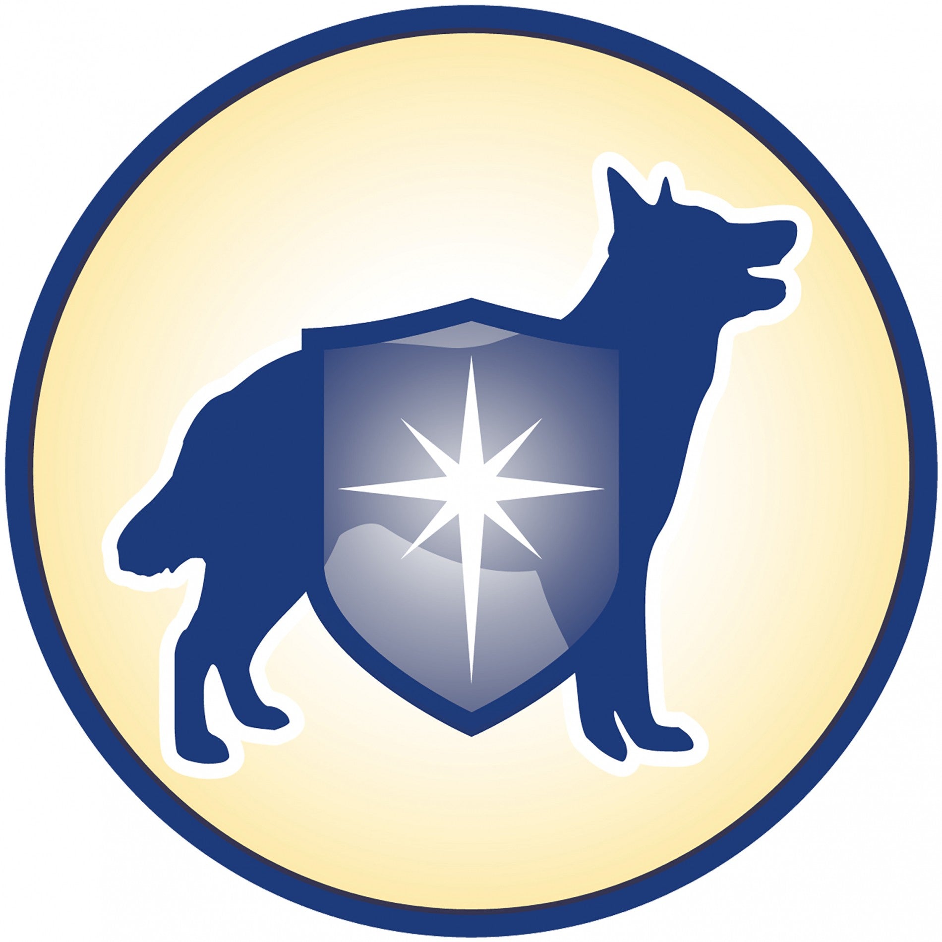 PURINA DOG CHOW Complet Adult à l'Agneau - Croquette pour chien