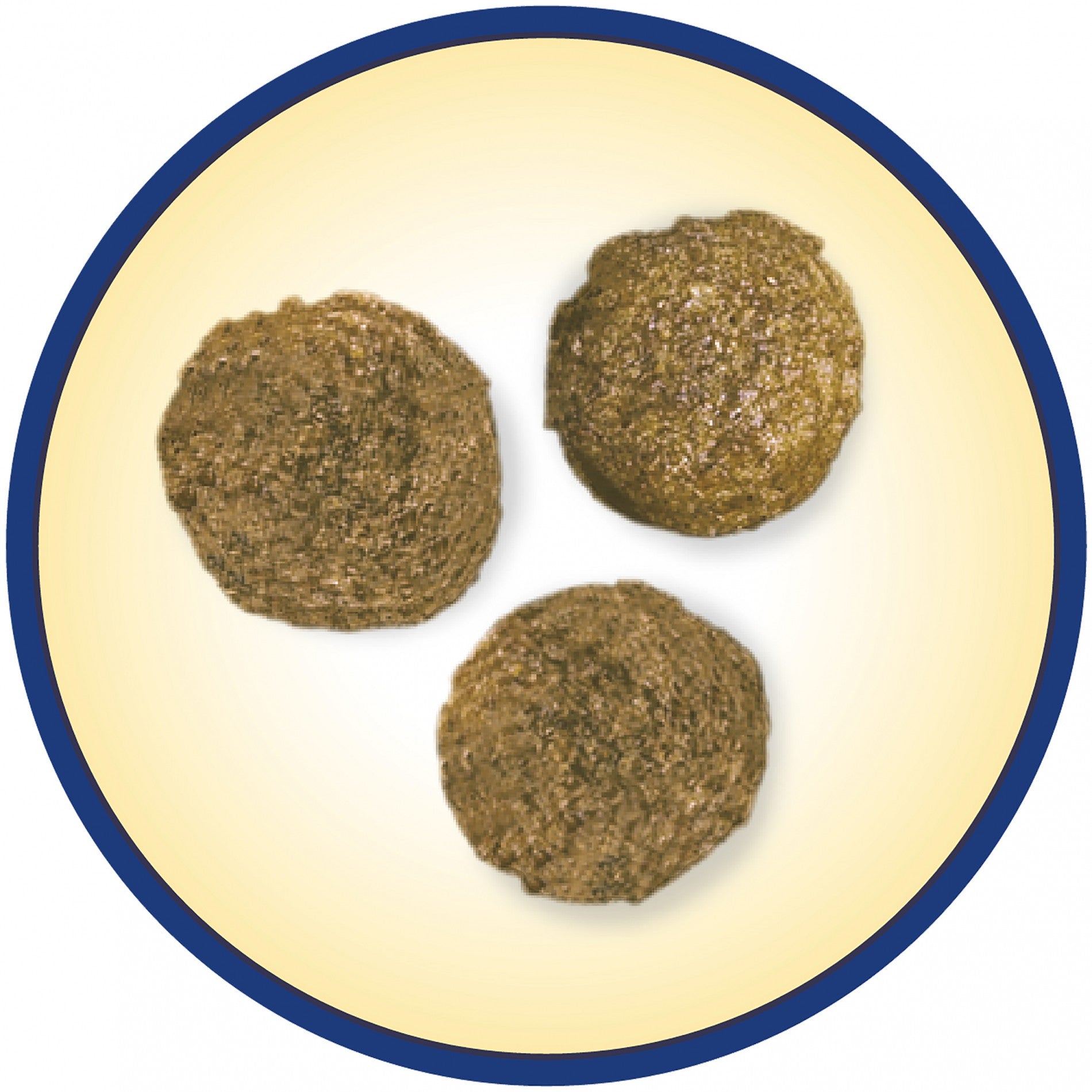 PURINA DOG CHOW Complet Adult à l'Agneau - Croquette pour chien