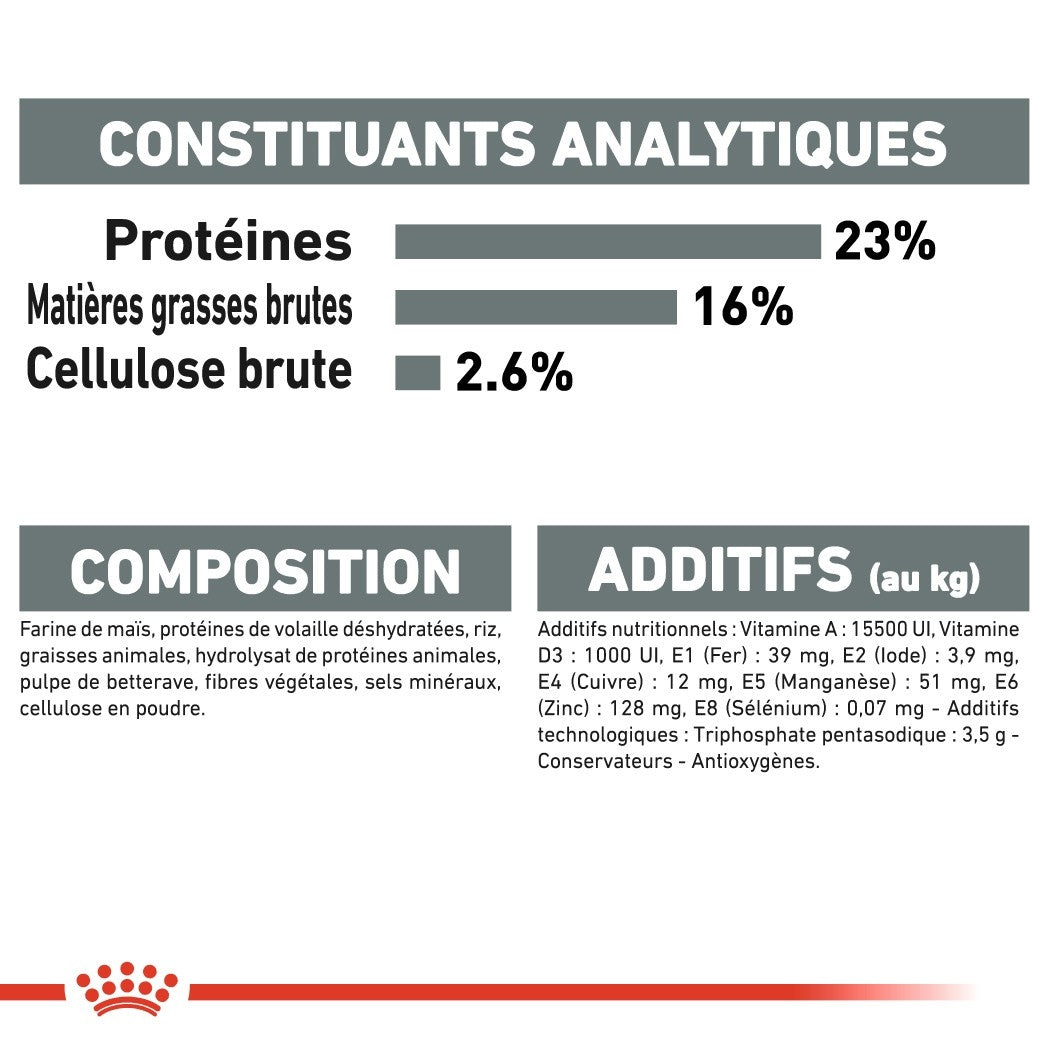 Royal Canin Medium Dental Care - Croquettes pour chien