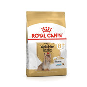 Royal Canin Yorkshire Terrier Adult 8+ - Croquettes pour chien