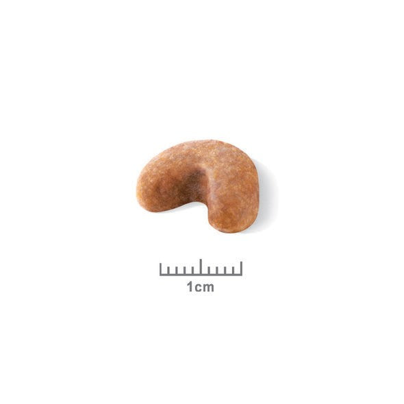 Royal Canin Bouledogue Français Puppy - Croquettes pour chiot