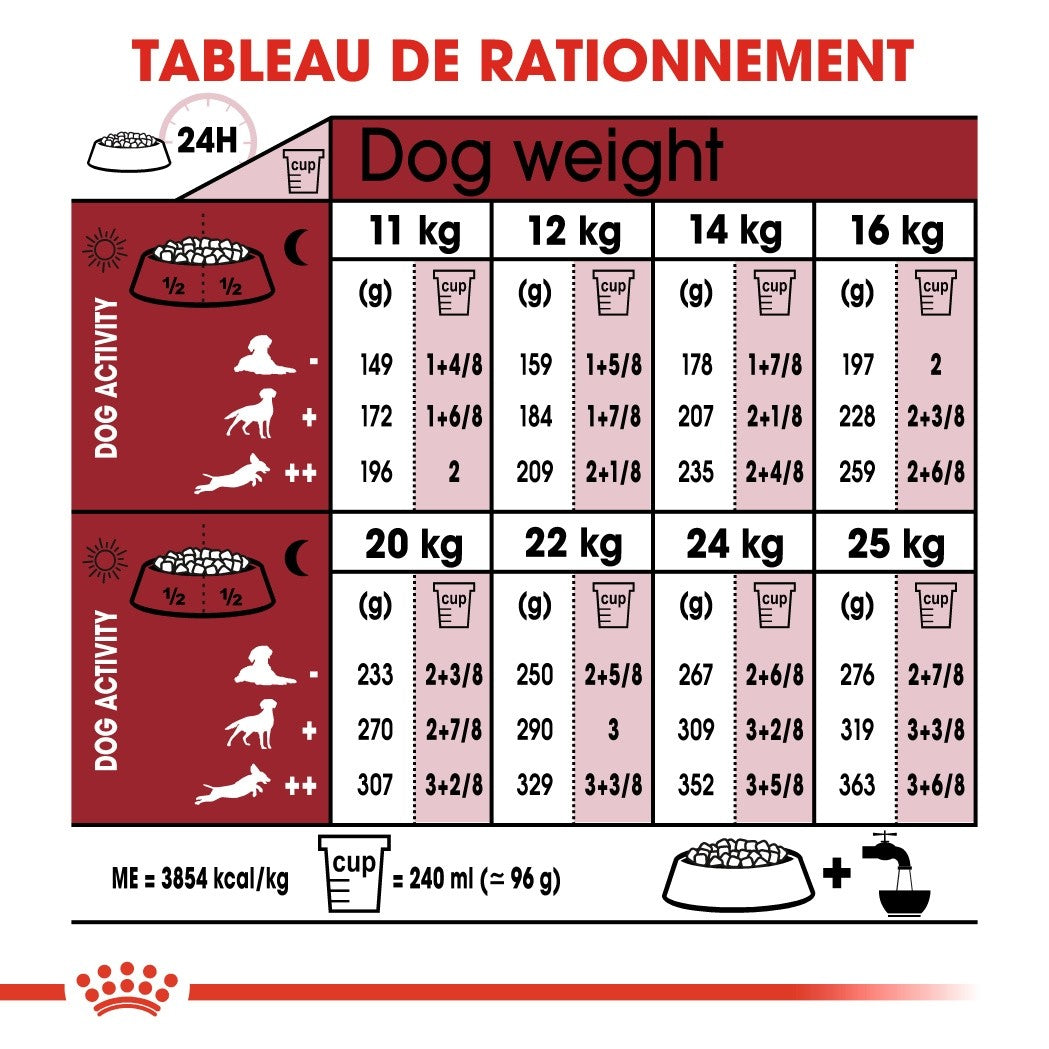 ROYAL CANIN Medium Adult 7+ - Croquettes pour chien