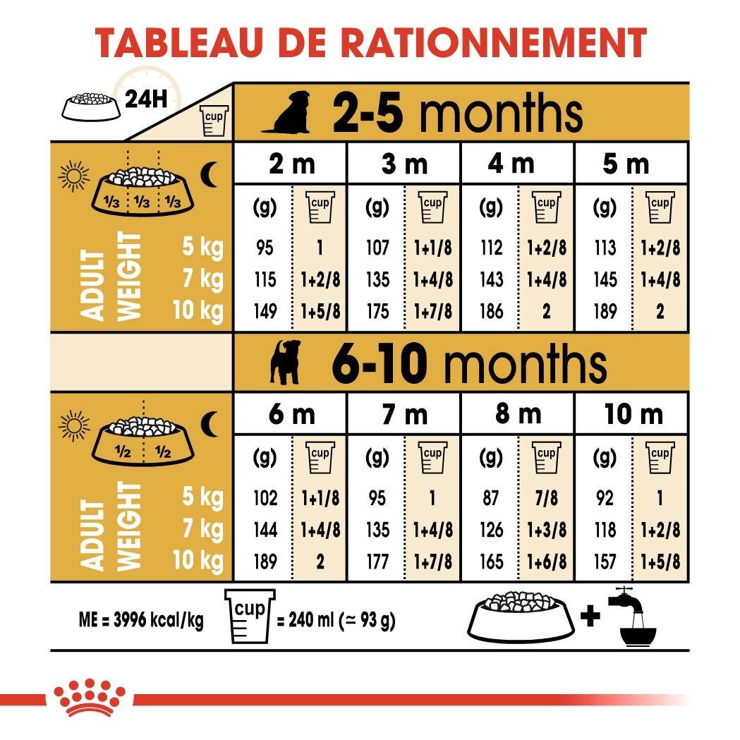 Royal Canin Jack Russell Puppy - Croquettes pour chiot