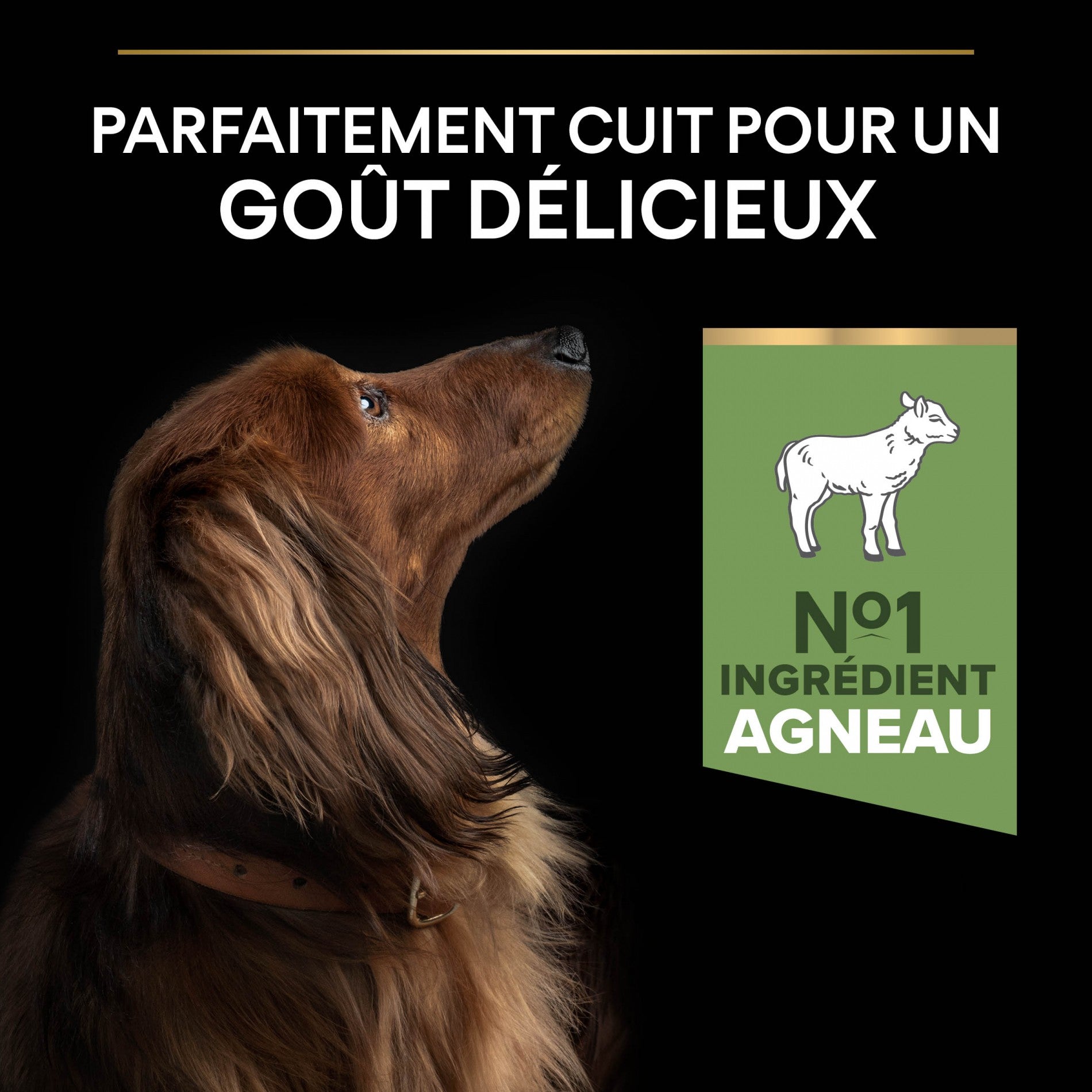 PRO PLAN Sensitive Digestion Small & Mini Adult à la Agneau- Croquettes pour chien