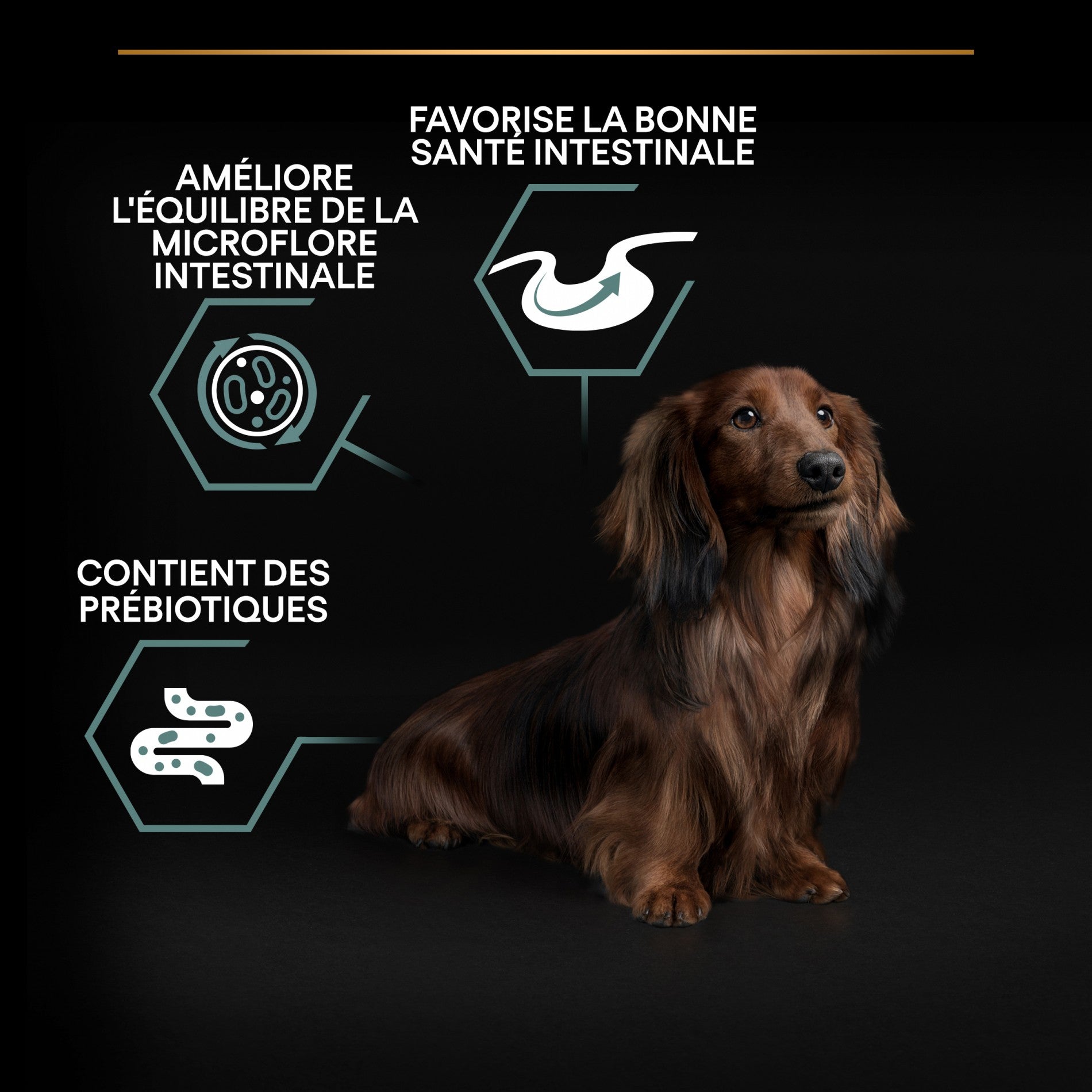 PRO PLAN Sensitive Digestion Small & Mini Adult à la Agneau- Croquettes pour chien