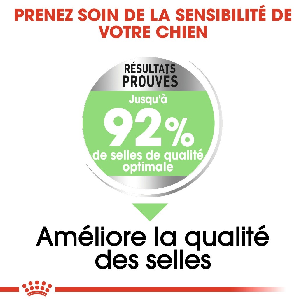 Royal Canin Mini Digestive Care - Croquettes pour chien