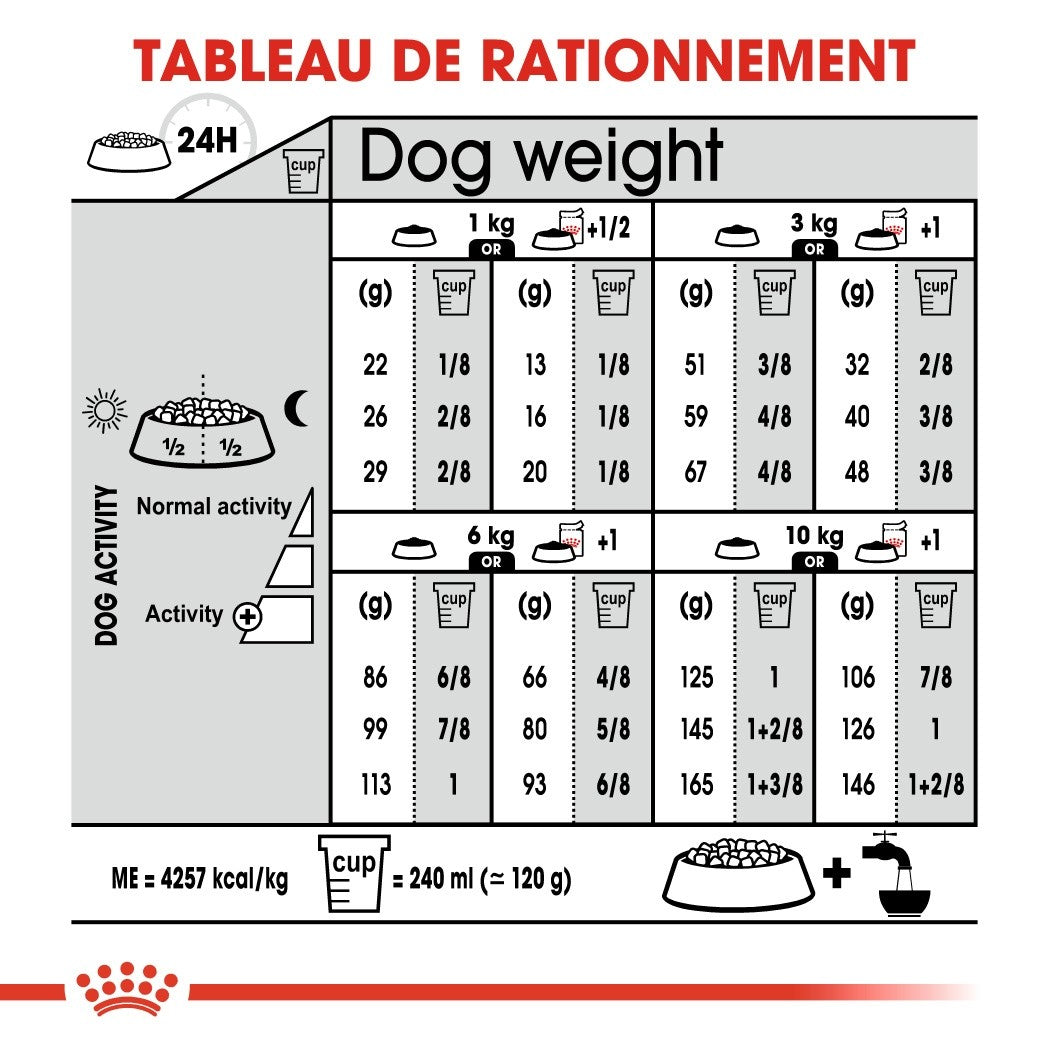 Royal Canin Mini Digestive Care - Croquettes pour chien