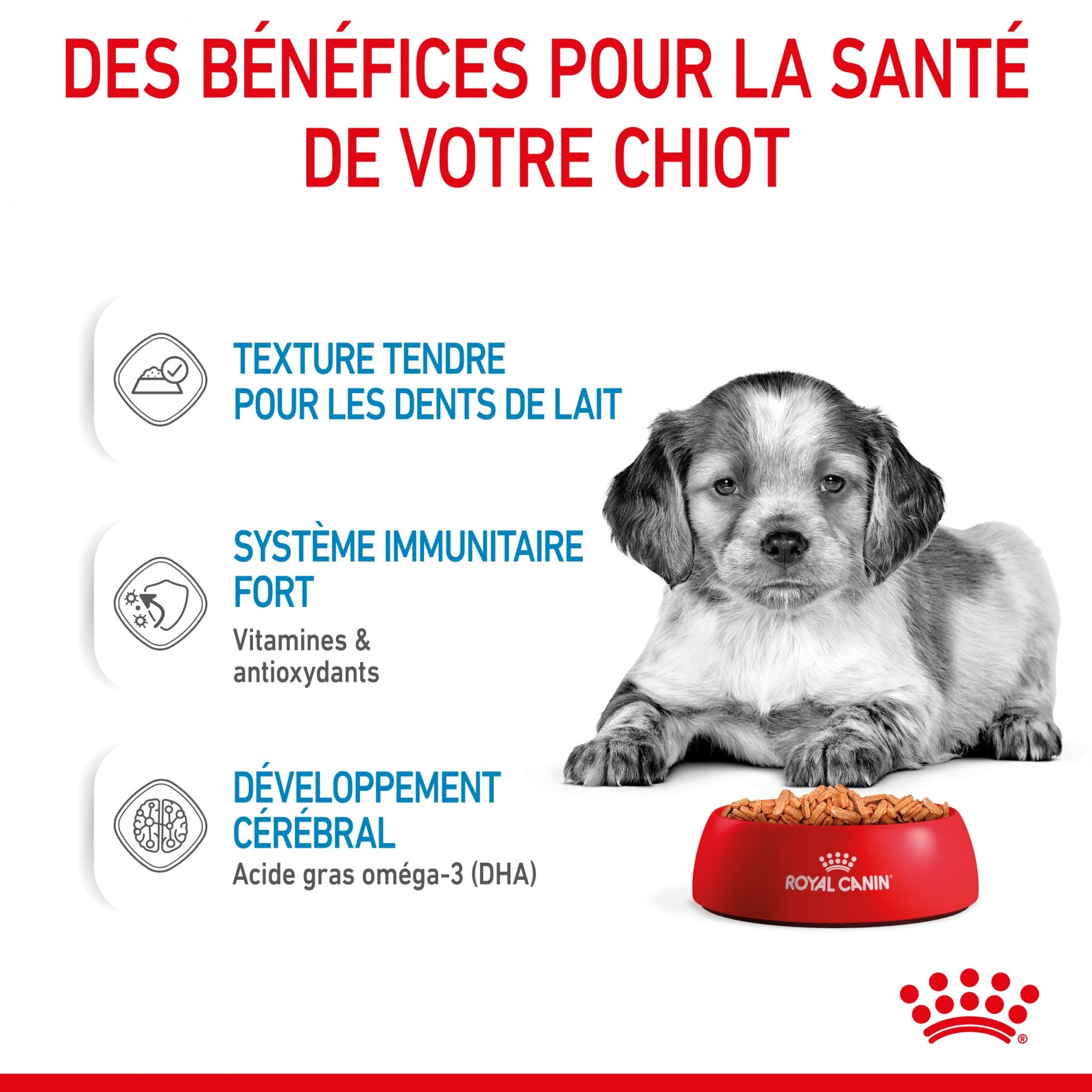 Royal Canin Medium Puppy en Sauce - Pâtée pour chiot