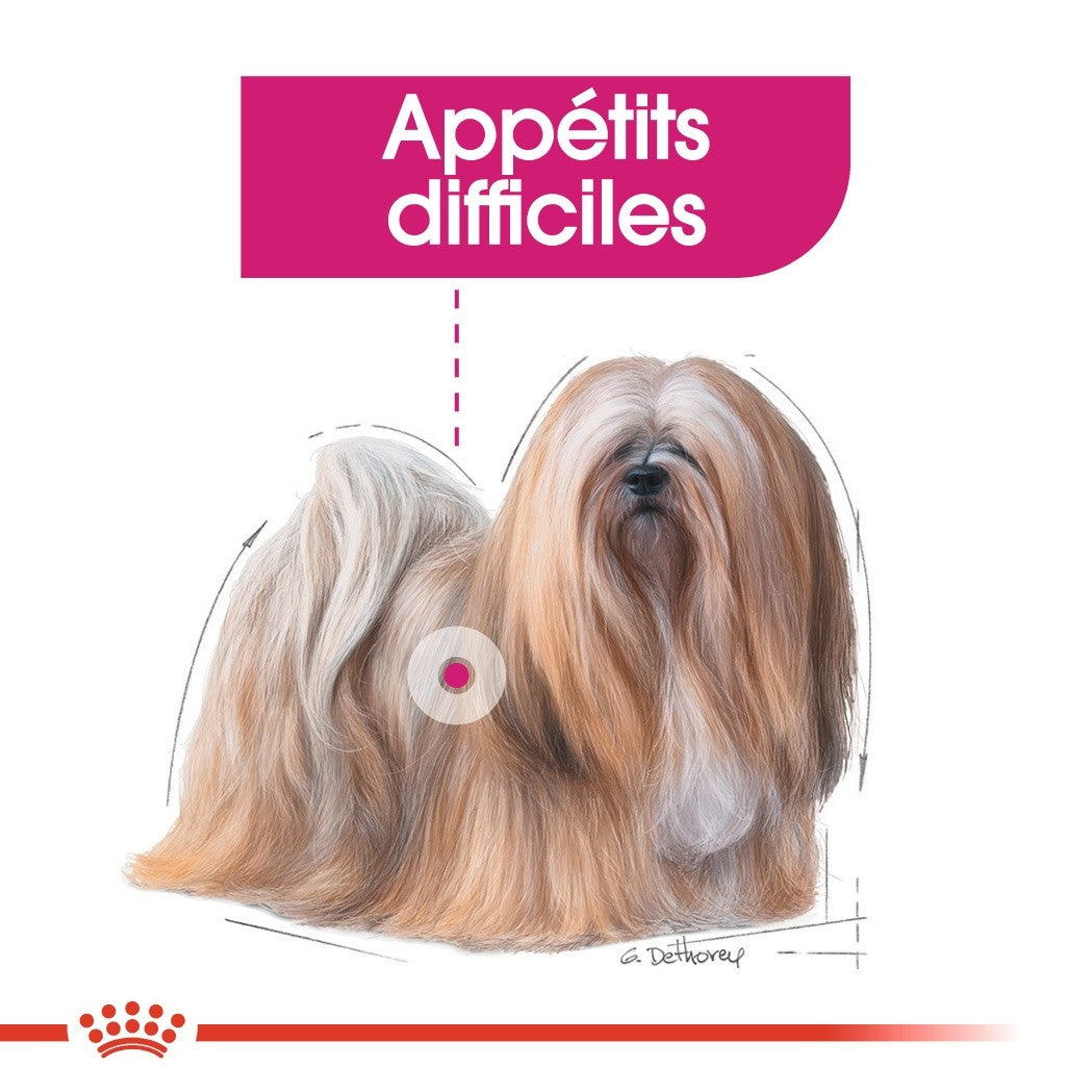 Royal Canin Exigent - Pâtée pour chien