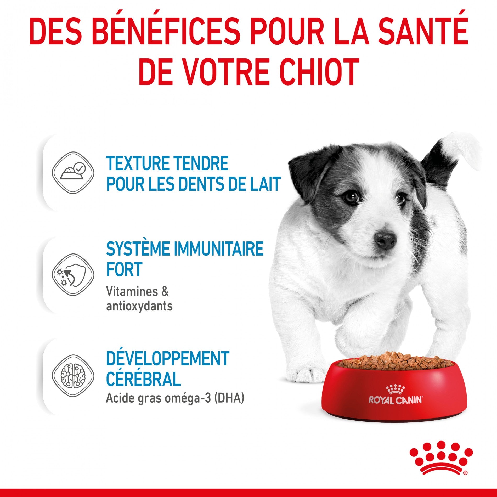 Royal Canin Mini Puppy - Pâtée pour chiot
