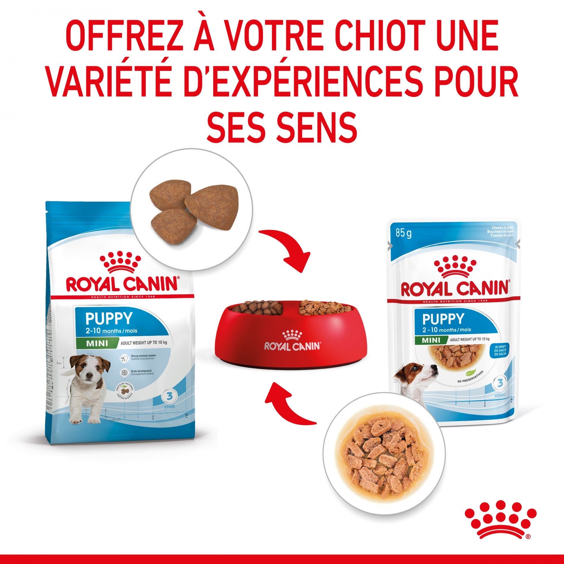 Royal Canin Mini Puppy - Pâtée pour chiot