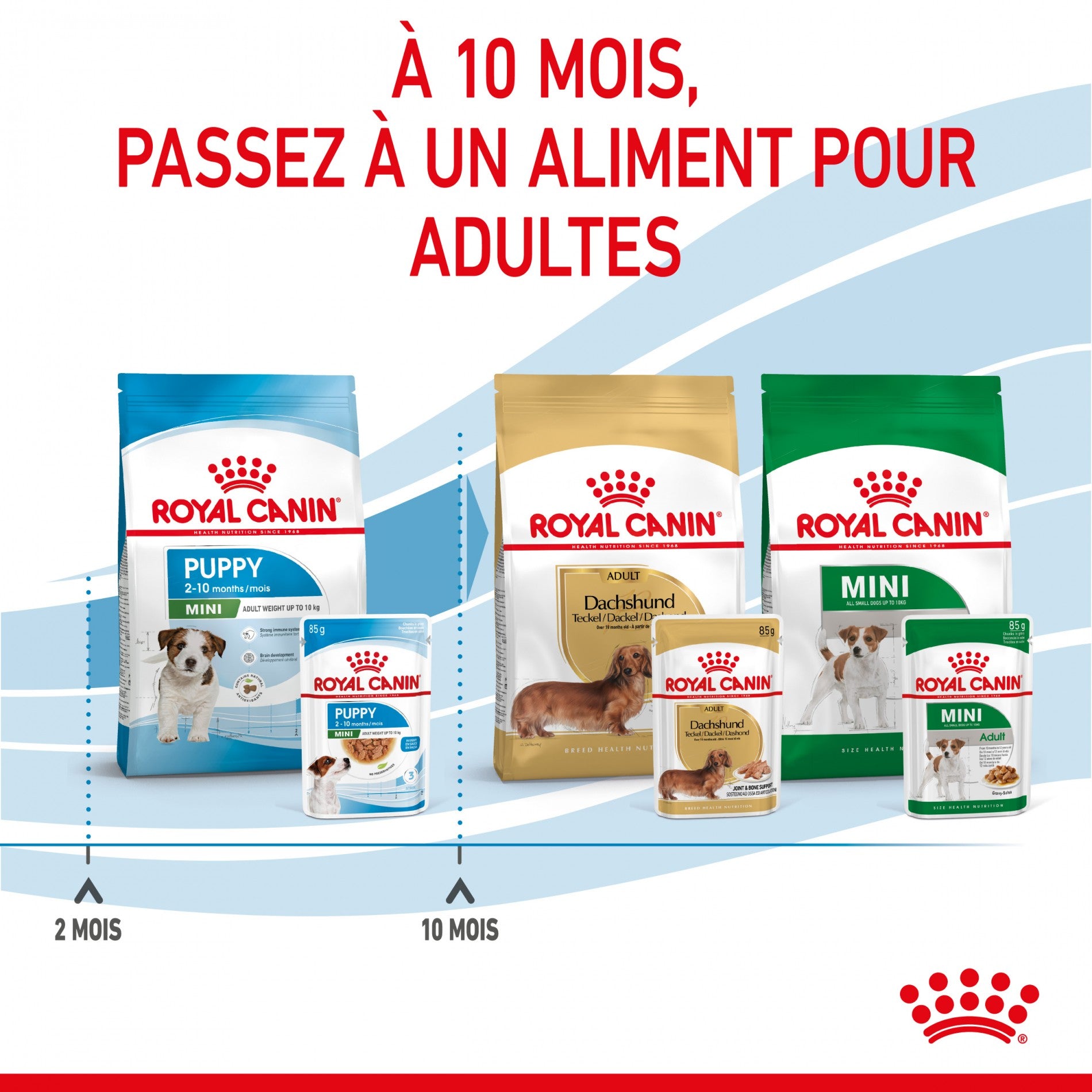 Royal Canin Mini Puppy - Pâtée pour chiot