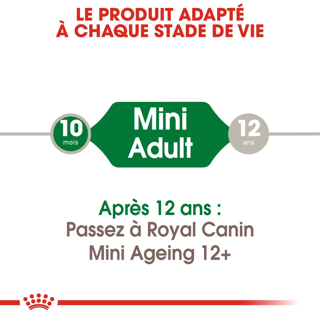 Royal Canin Mini Adult - Pâtée pour chien