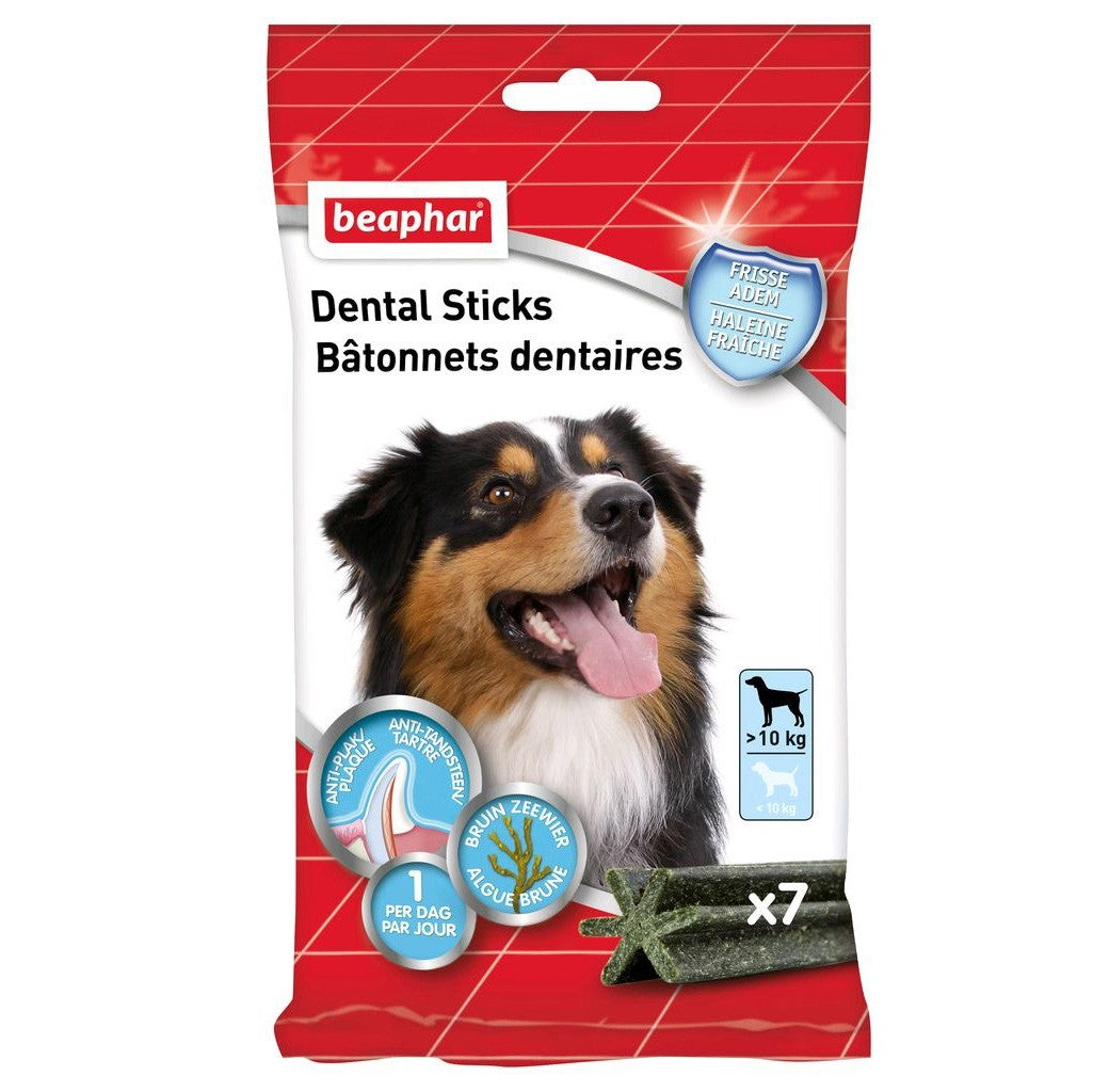 Dental Sticks