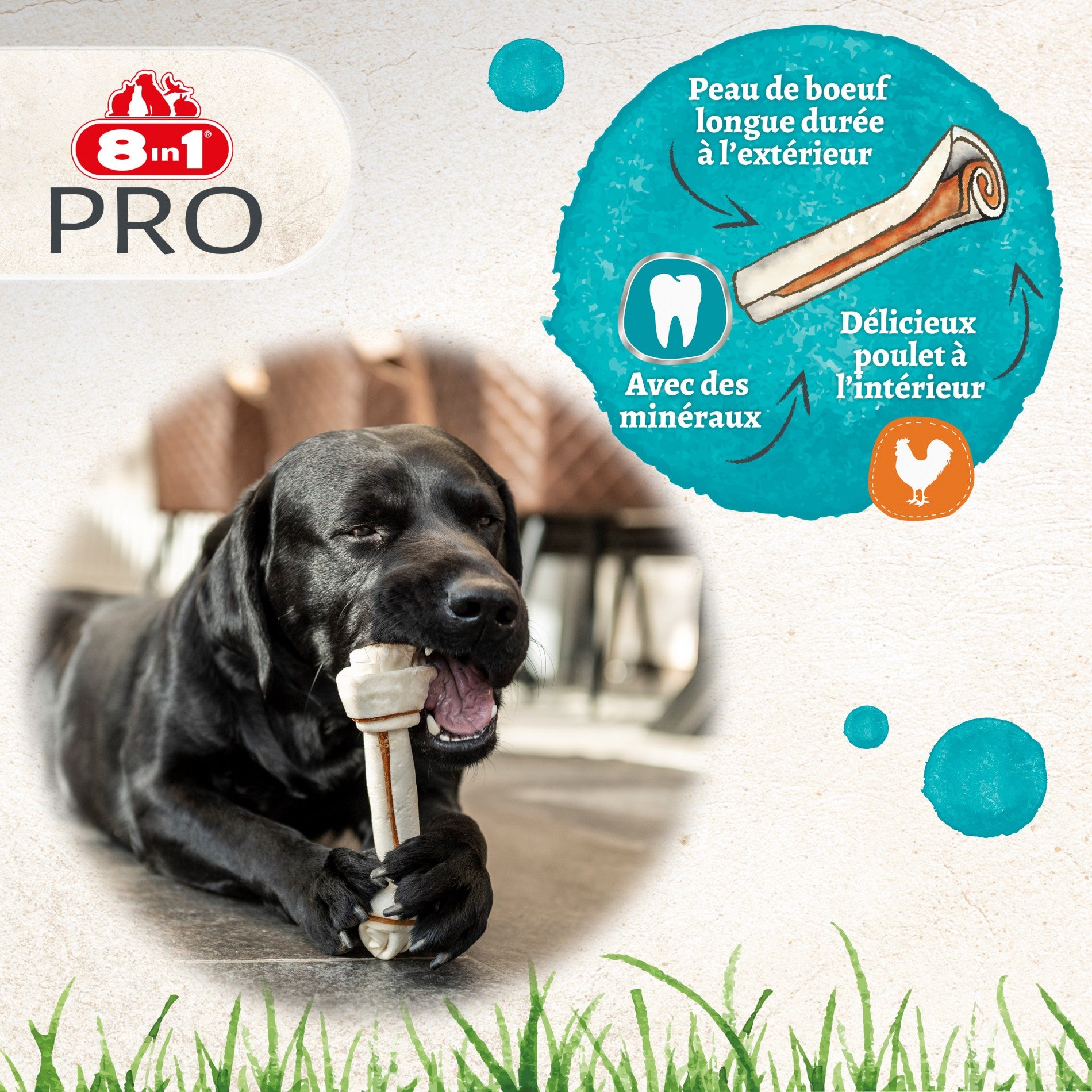 Bâtonnets à mâcher 8in1 Pro Dental Stick