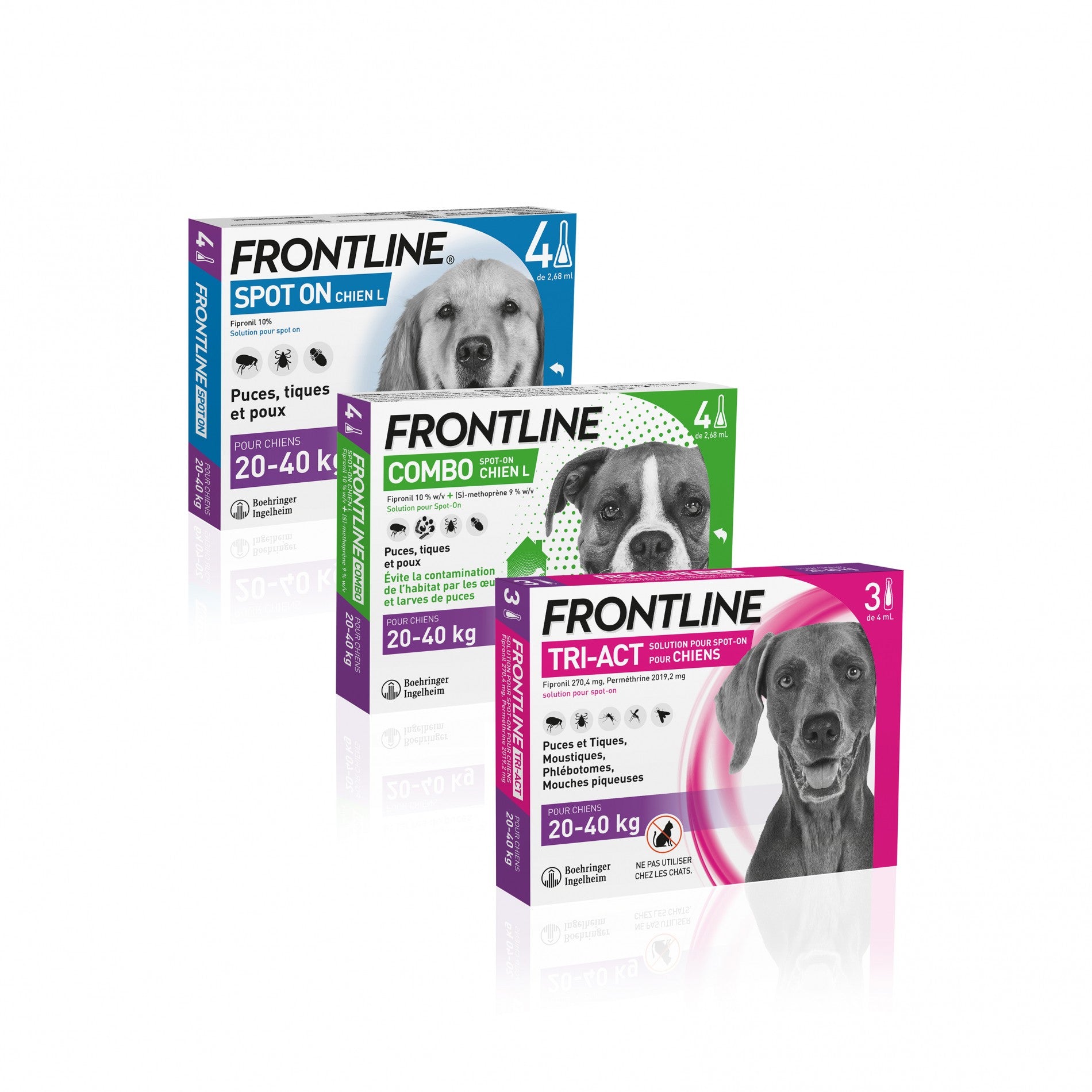 Frontline Spot-On chien