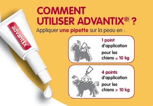 ADVANTIX PETIT CHIEN 24 PIP