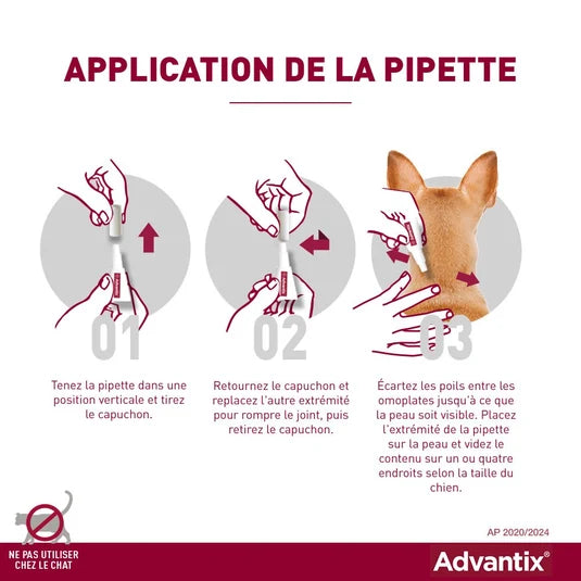 ADVANTIX PETIT CHIEN 24 PIP