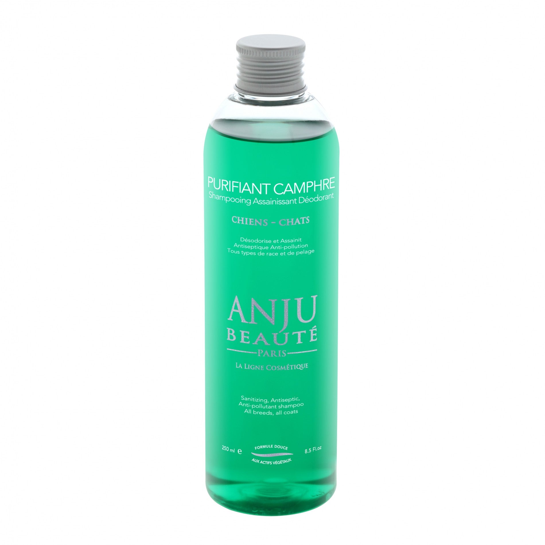 Shampooing déodorant Purifiant Camphre