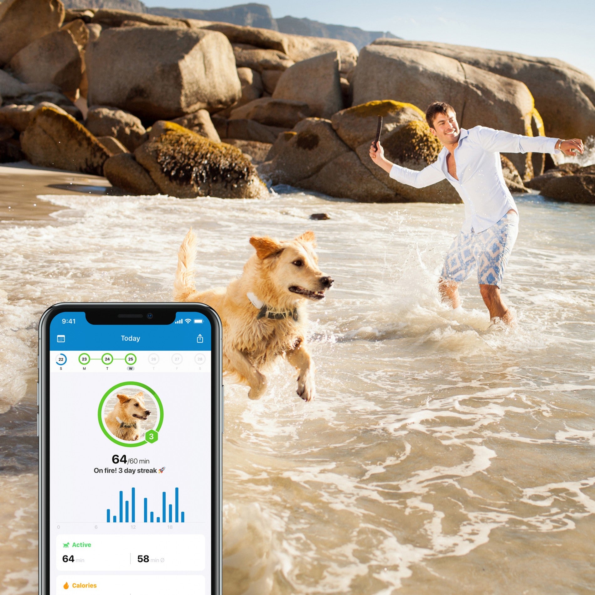 Traceur GPS 4 pour chien