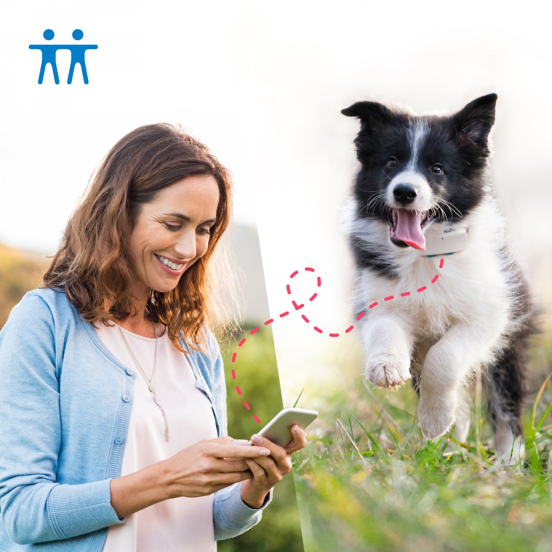 Traceur GPS 4 pour chien