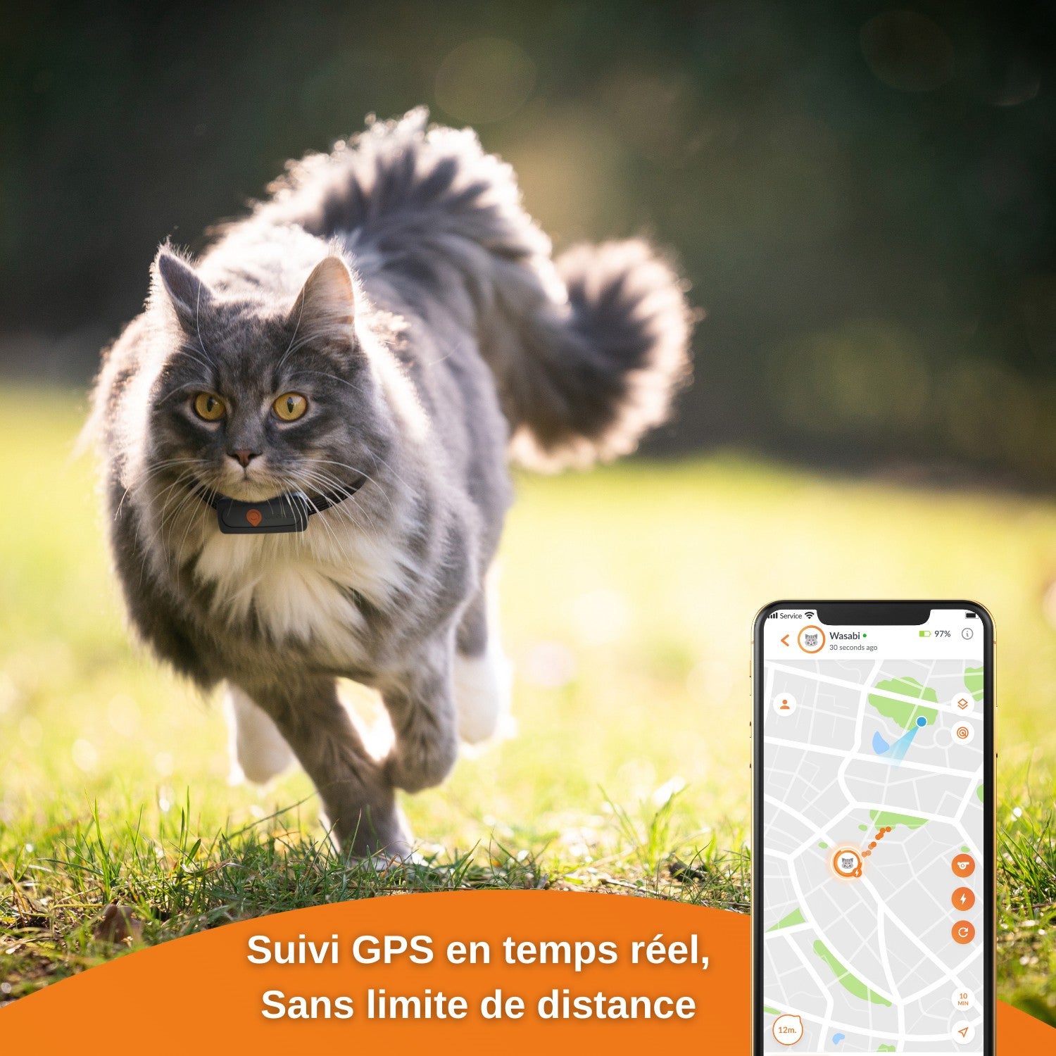 Collier GPS Wennect XS Cats - Noir
