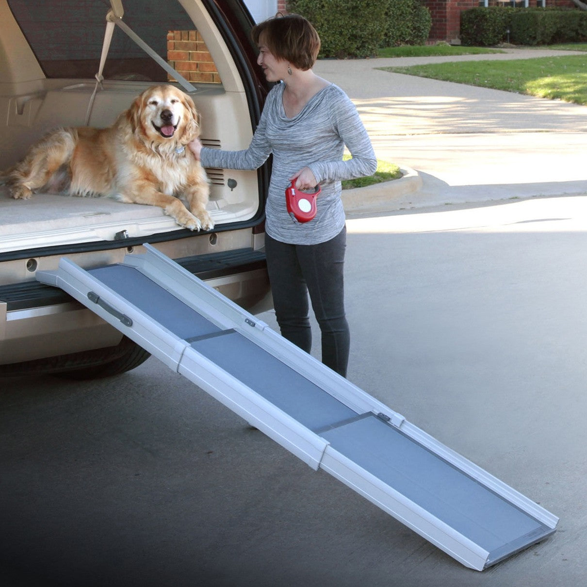 Os Bristle Bone™ Petsafe