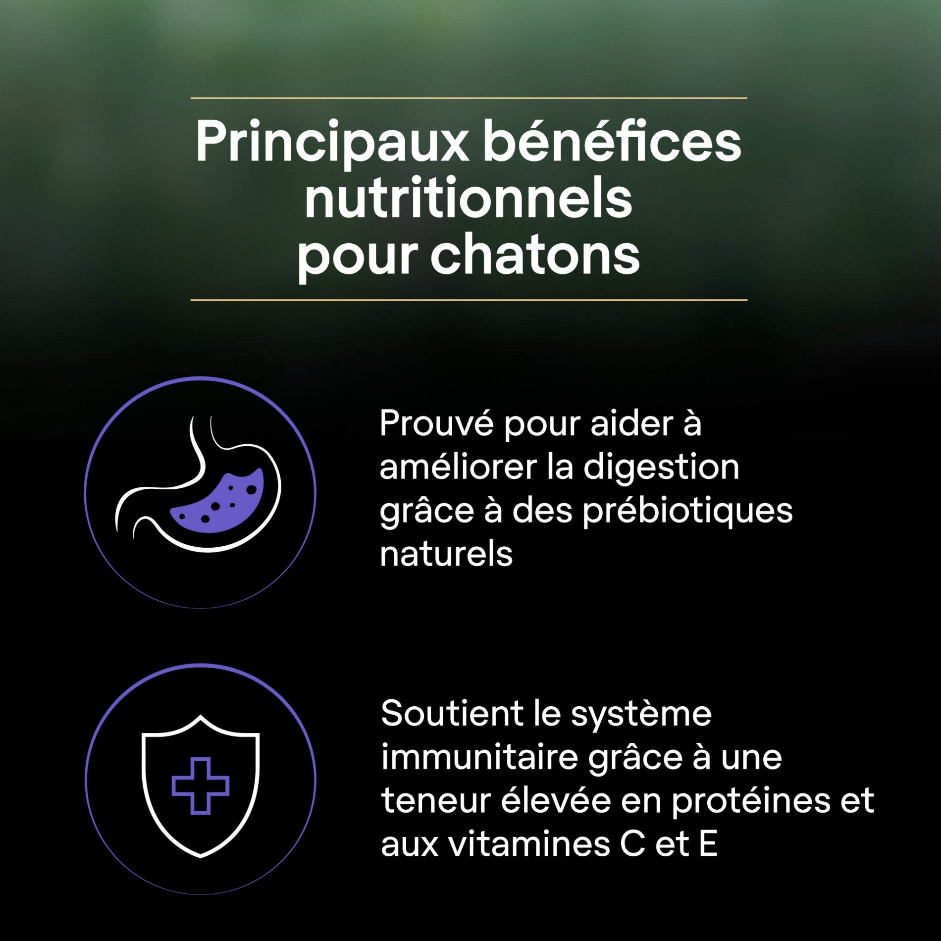 PRO PLAN LiveClear Kitten à la dinde - Croquettes pour chaton