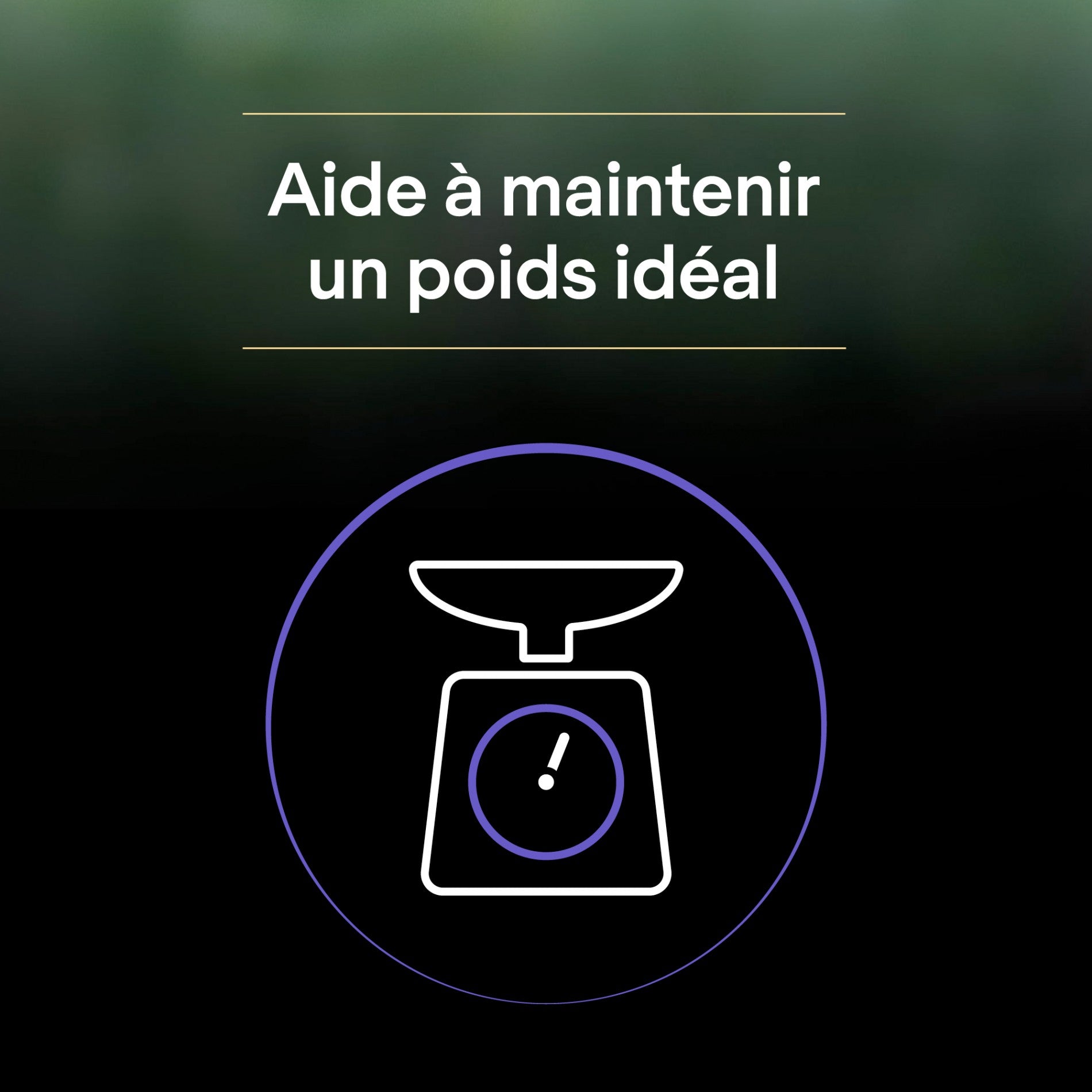 PRO PLAN LiveClear Kitten à la dinde - Croquettes pour chaton