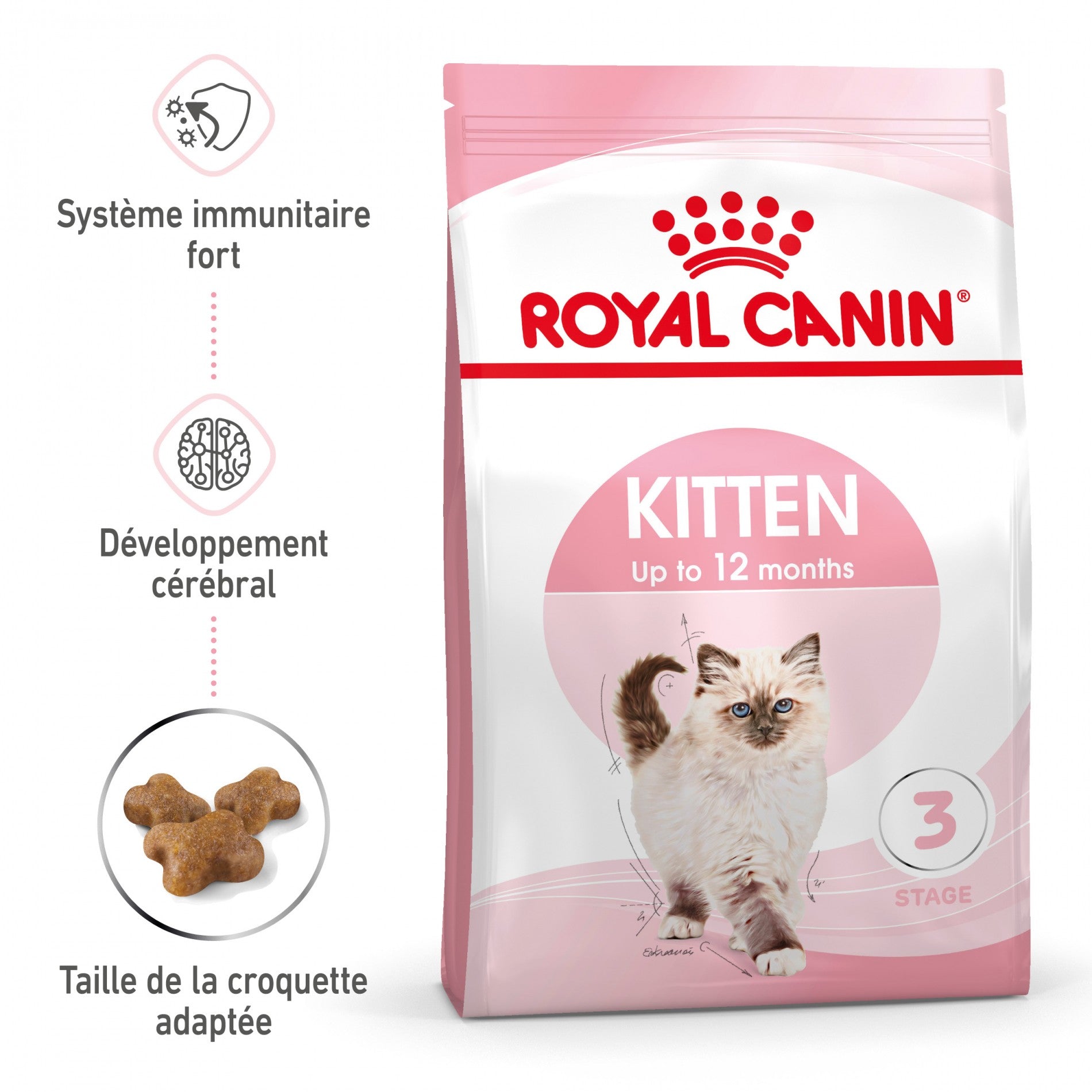 Royal Canin Kitten Second Age