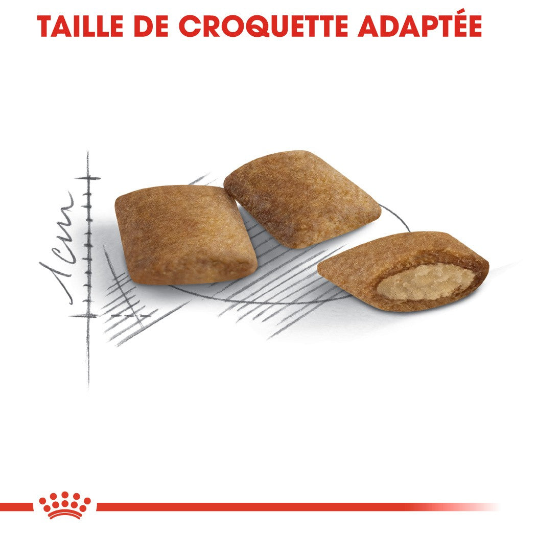 Royal Canin Ageing 12+ - Croquettes pour chat