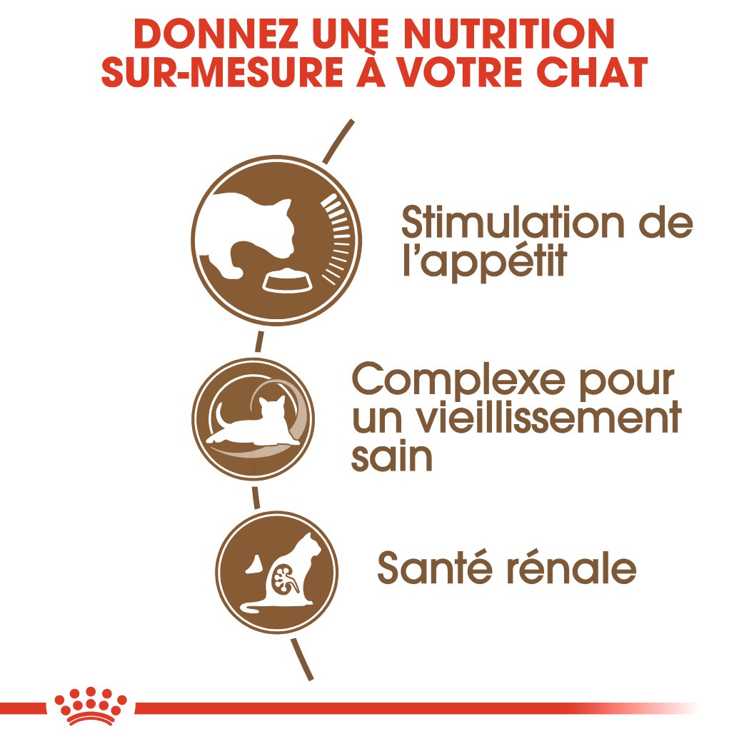 Royal Canin Ageing 12+ - Croquettes pour chat