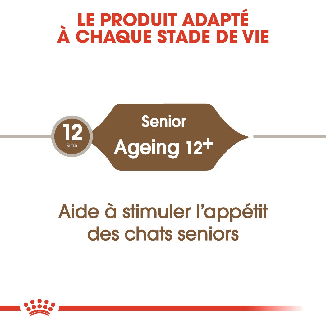 Royal Canin Ageing 12+ - Croquettes pour chat