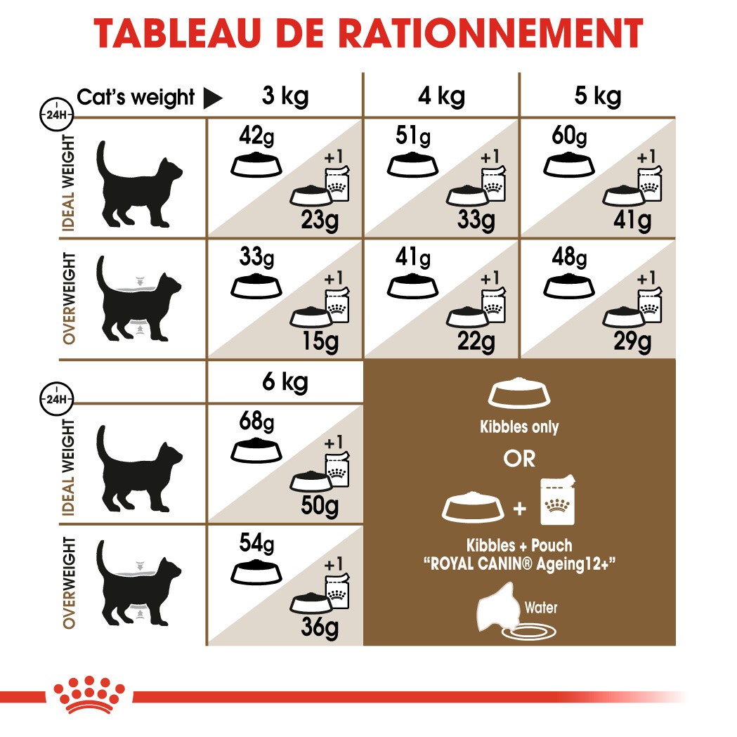 Royal Canin Ageing 12+ - Croquettes pour chat