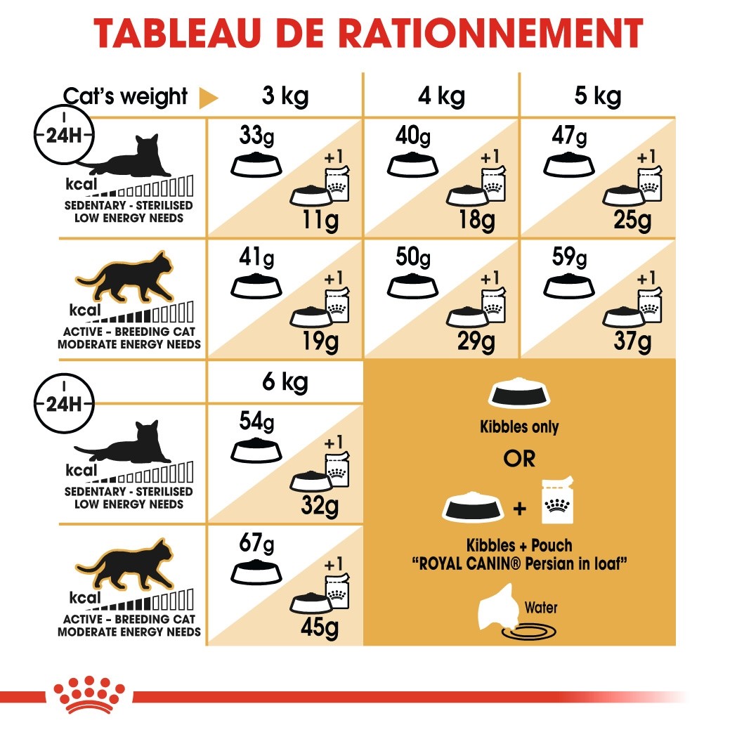 Royal Canin Persian Adult - Croquettes pour chat