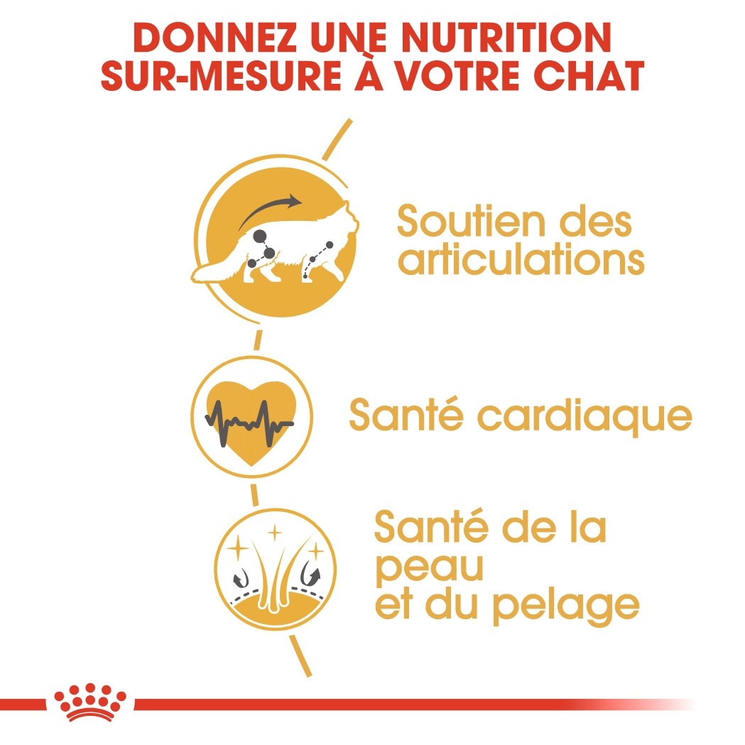 Royal Canin Maine Coon Adult - Croquettes pour chat