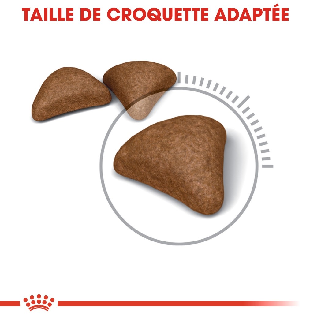Royal Canin Hairball Care - Croquettes pour chat