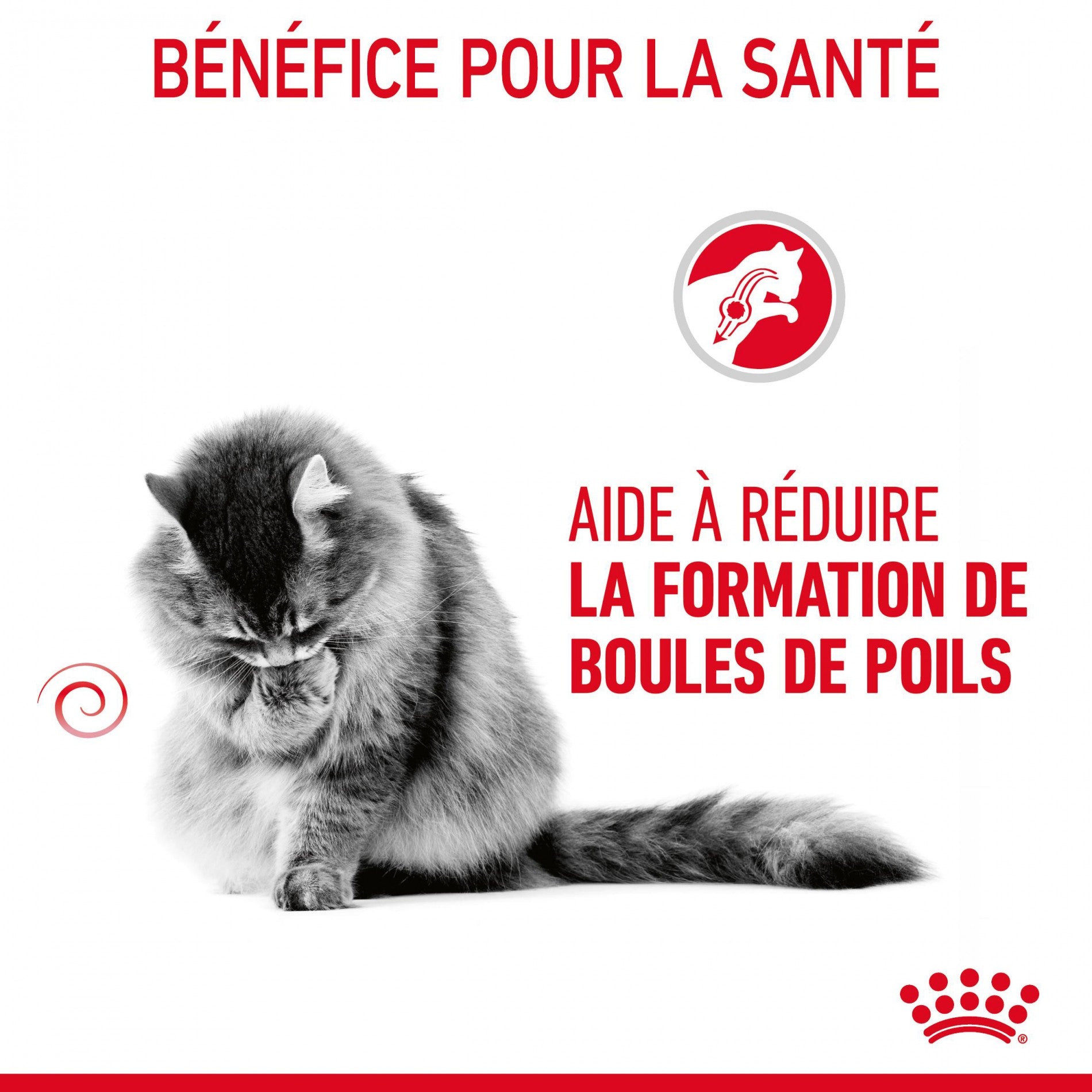 Royal Canin Hairball Care - Croquettes pour chat